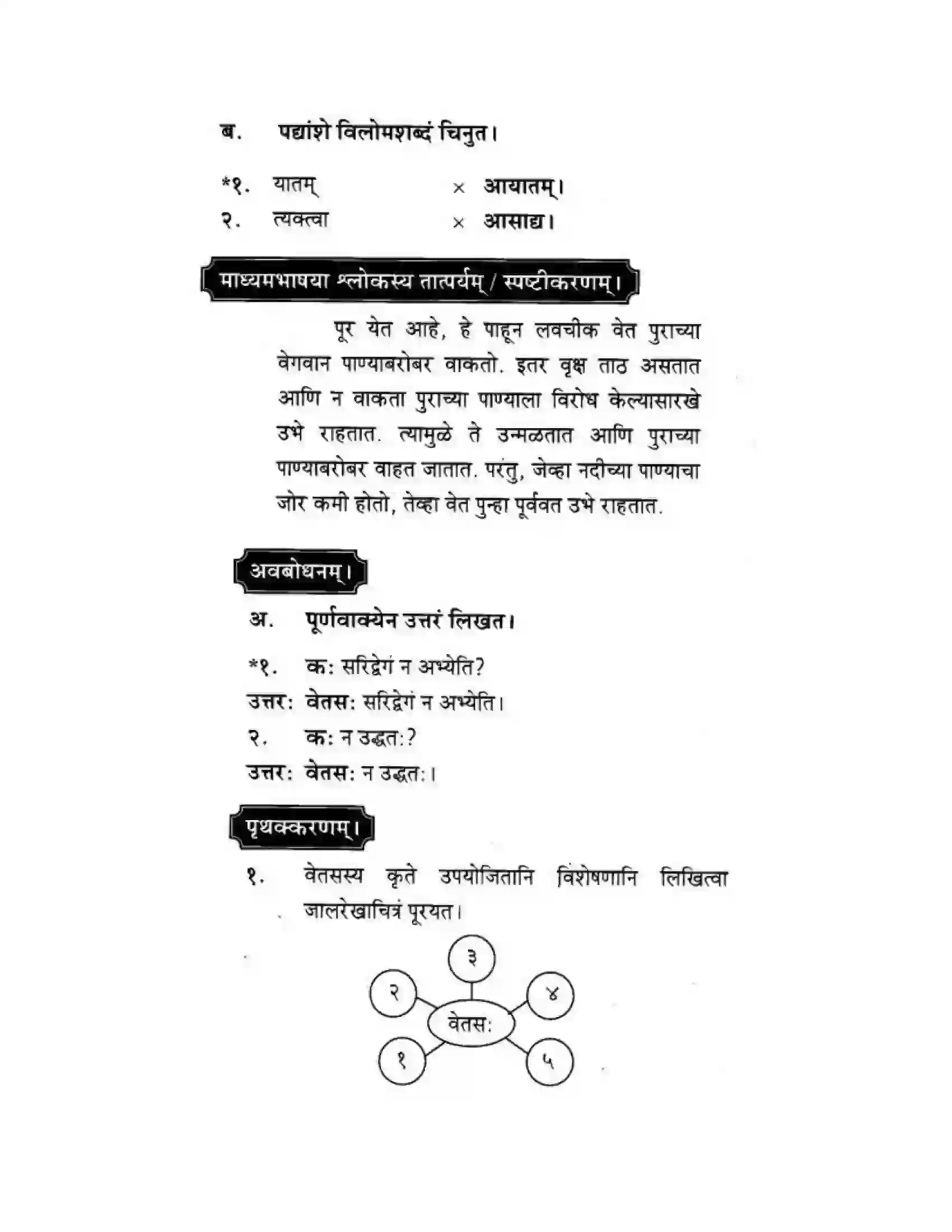 Maharashtra Board Class 10th मकरन्द (Sanskrit) नदीसमुद्रसंवाद। - पद्यम अवबोधनम Solution 6