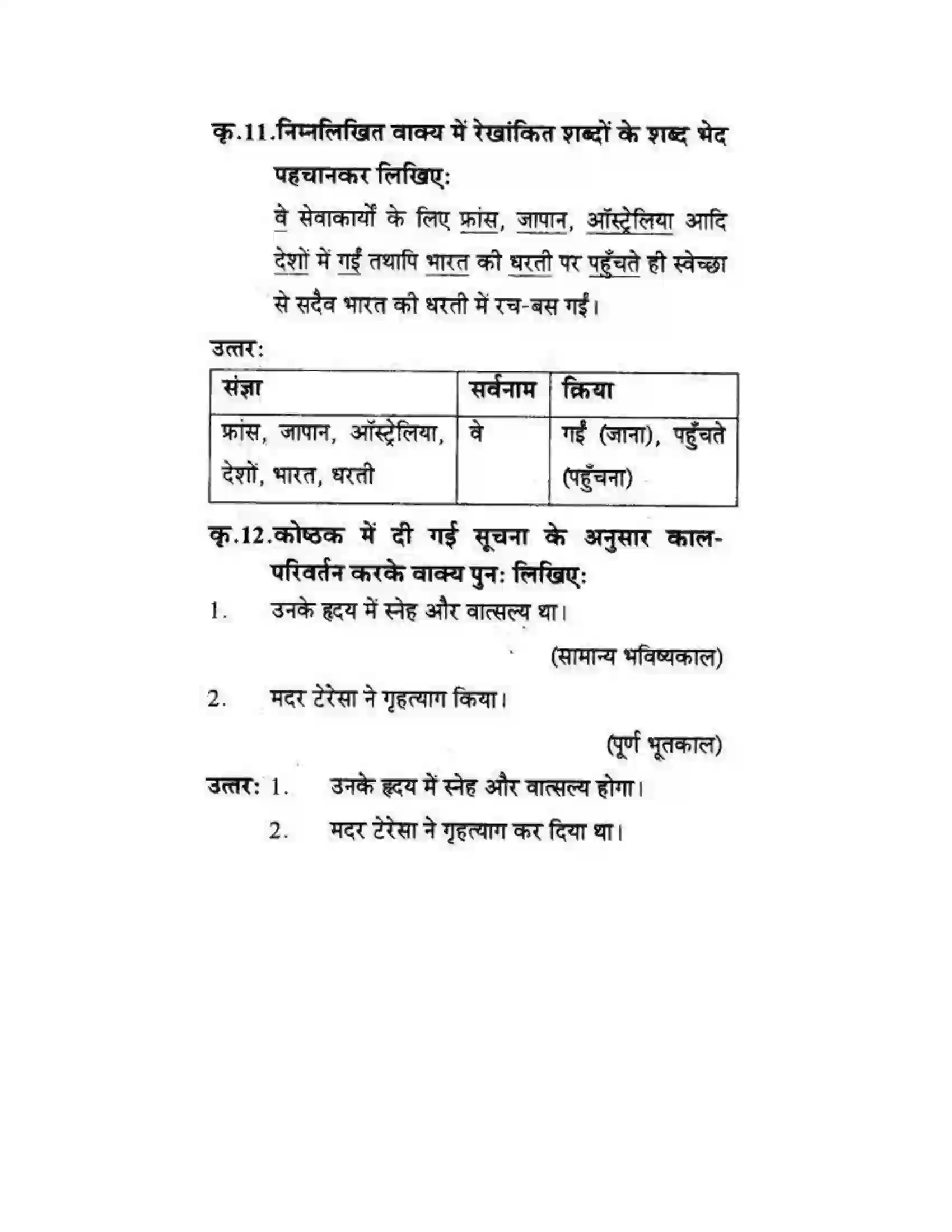Maharashtra Board Class 10th लोकवाणी मदर टेरेसा - गद्य विभाग Solution 11