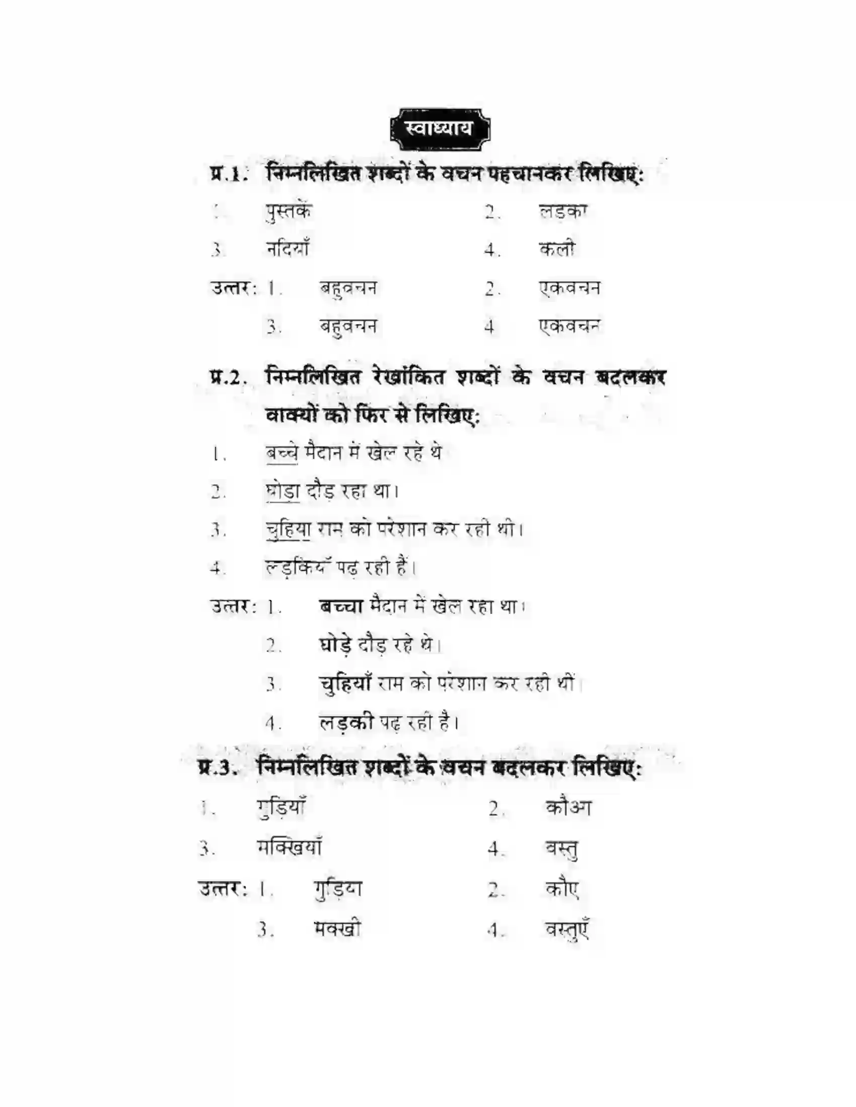 Maharashtra Board Class 10th लोकवाणी वचन - व्याकरण विभाग Solution 3