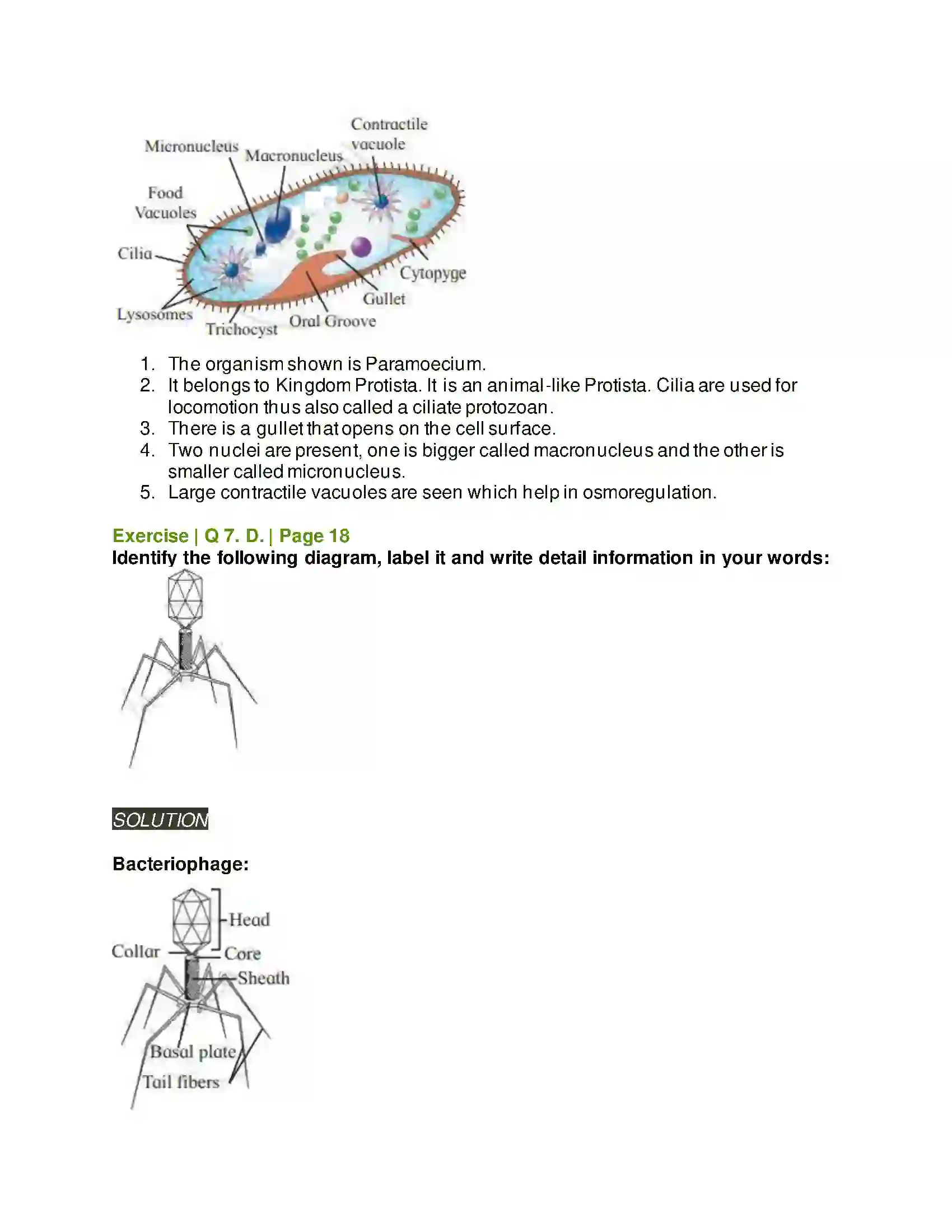 Maharashtra Board Class 11th Biology Systematics of Living Organisms Solution 10