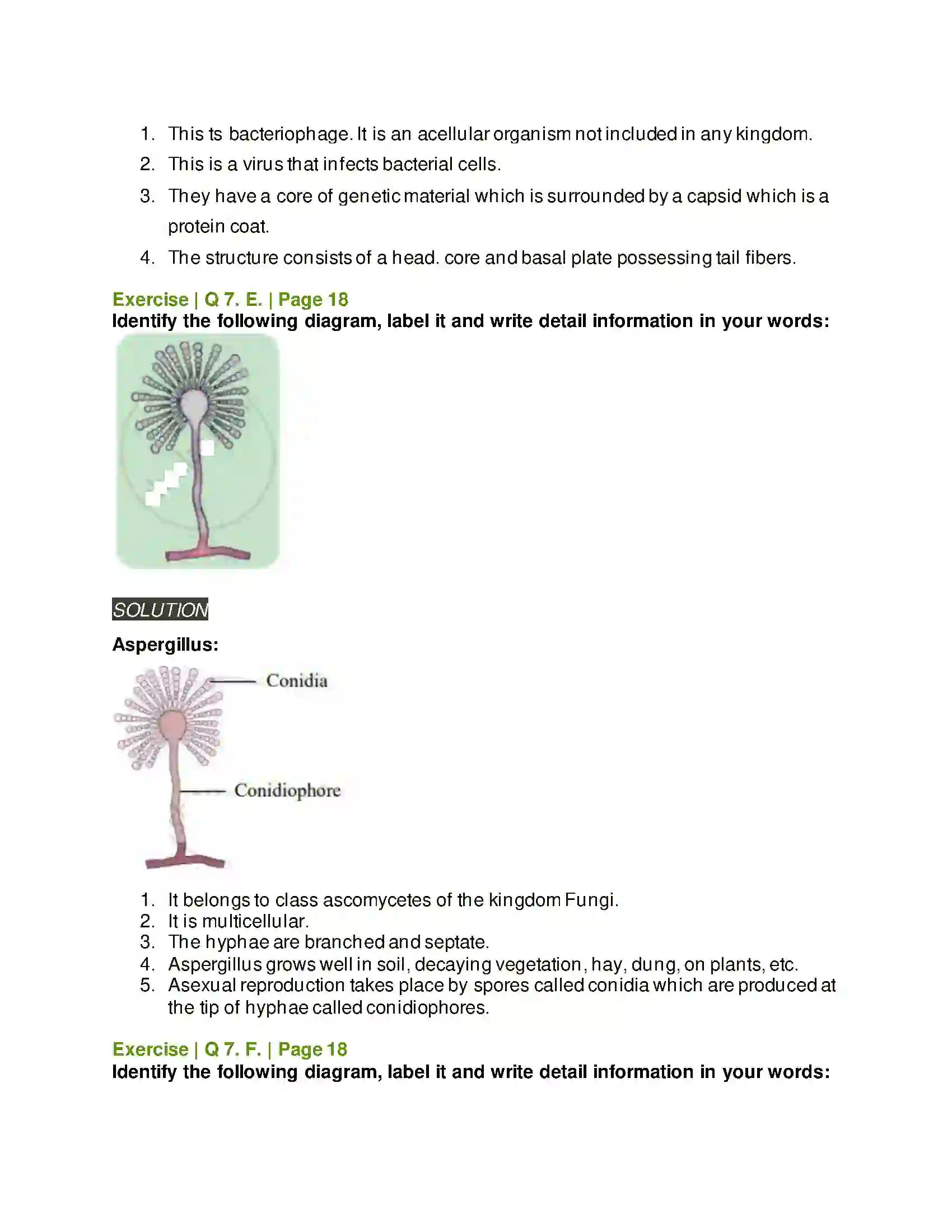 Maharashtra Board Class 11th Biology Systematics of Living Organisms Solution 11