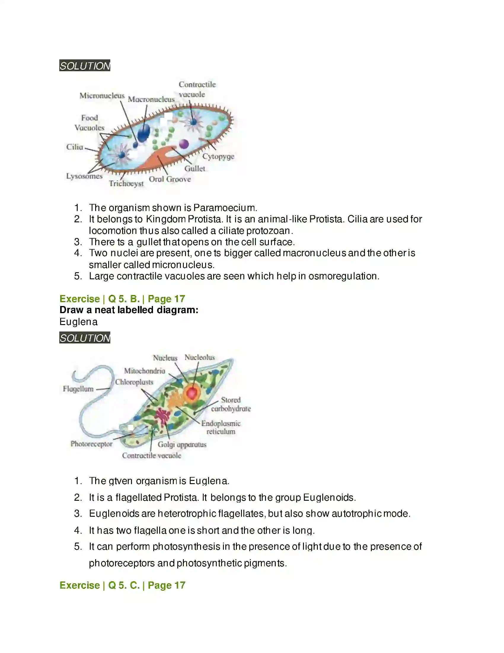 Maharashtra Board Class 11th Biology Systematics of Living Organisms Solution 6