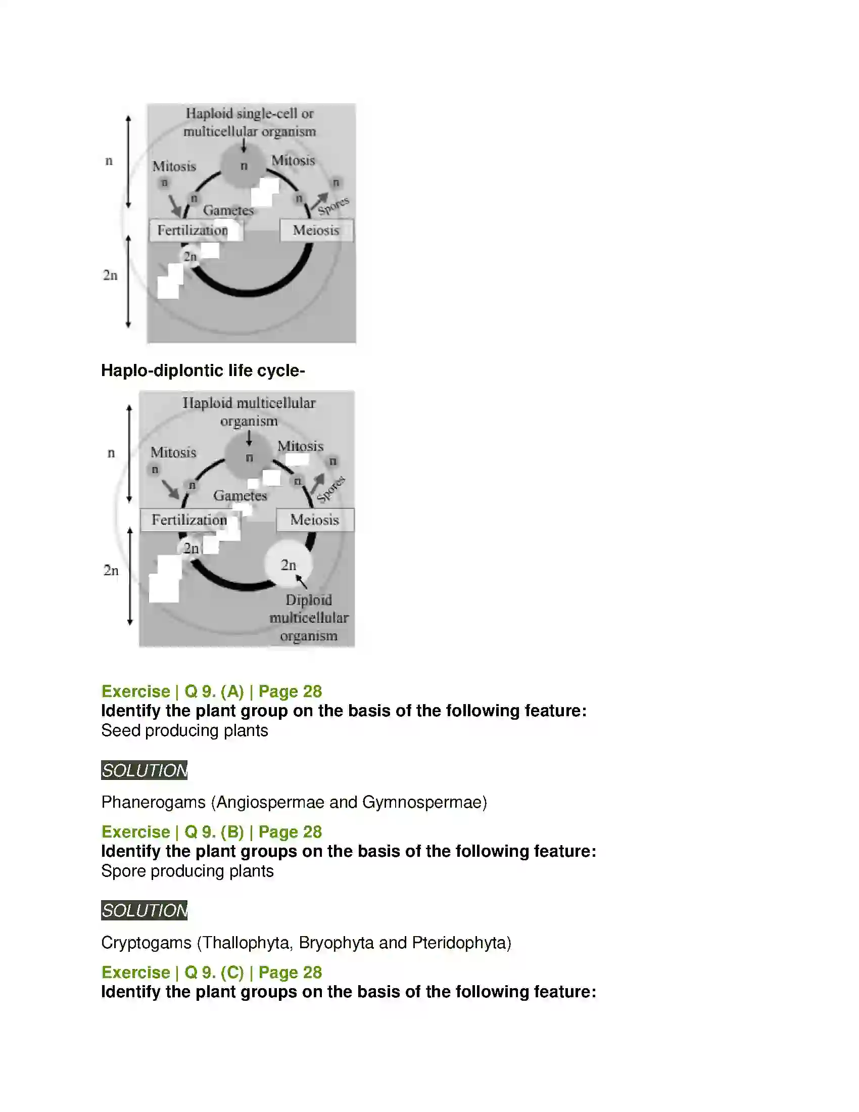 Maharashtra Board Class 11th Biology Kingdom Plantae Solution 8