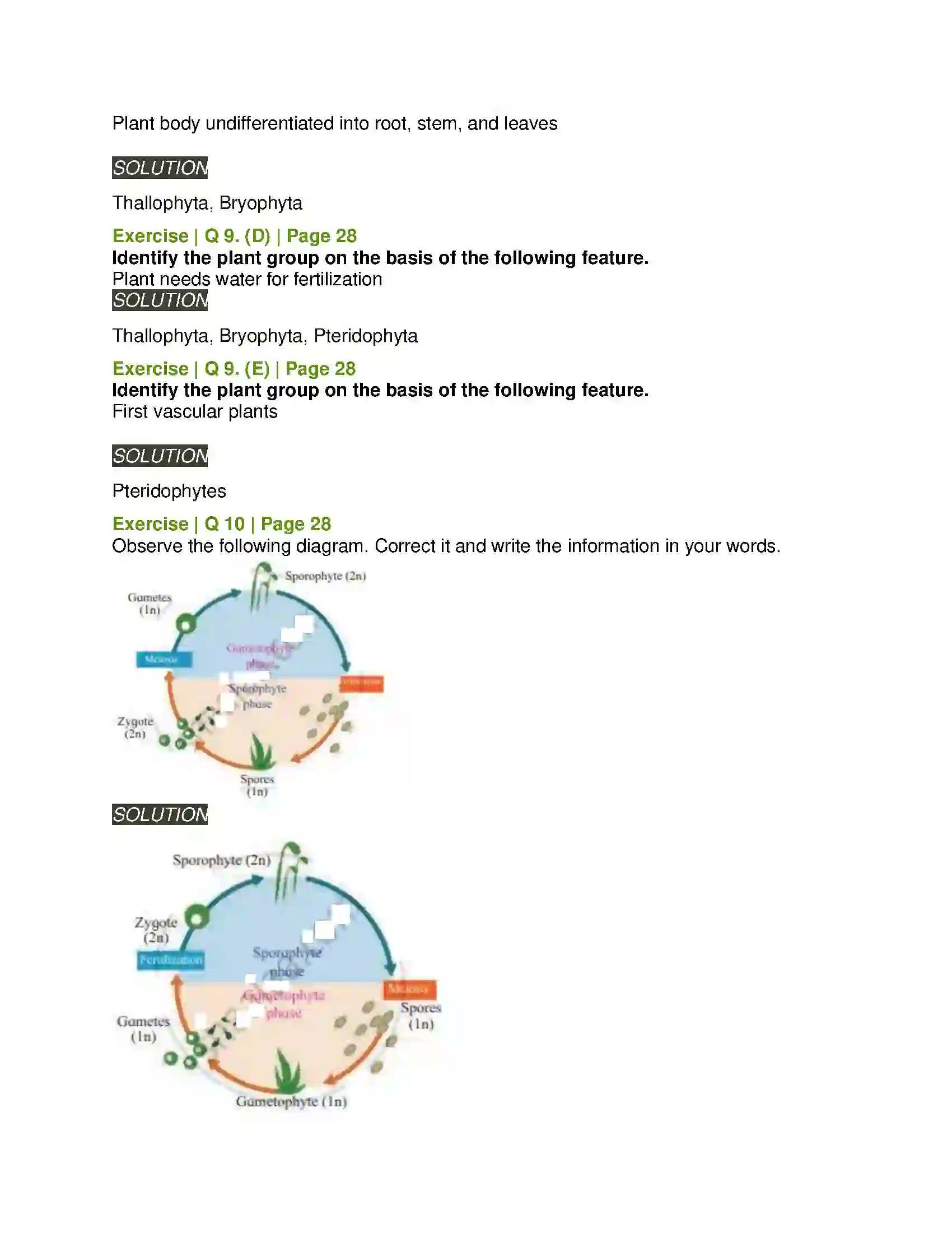 Maharashtra Board Class 11th Biology Kingdom Plantae Solution 9