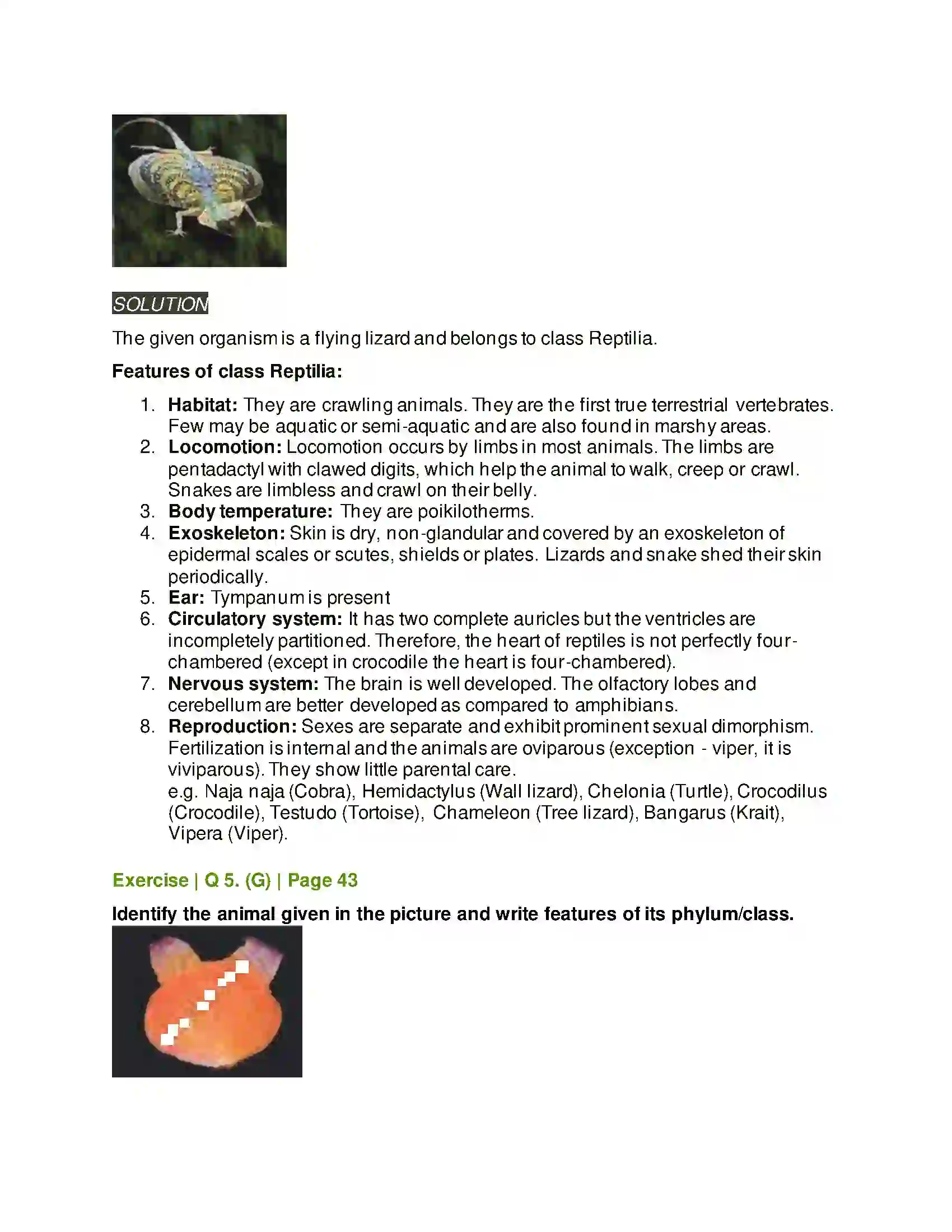 Maharashtra Board Class 11th Biology Kingdom Animalia Solution 12