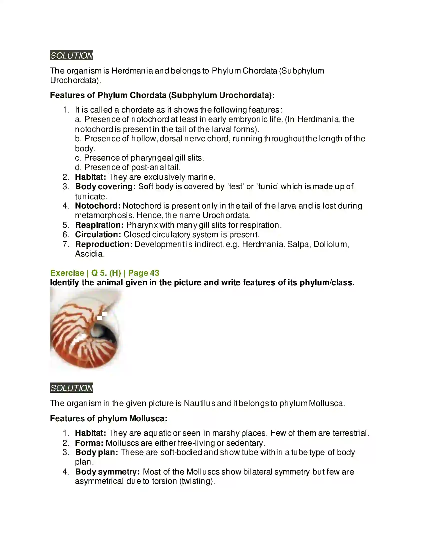 Maharashtra Board Class 11th Biology Kingdom Animalia Solution 13