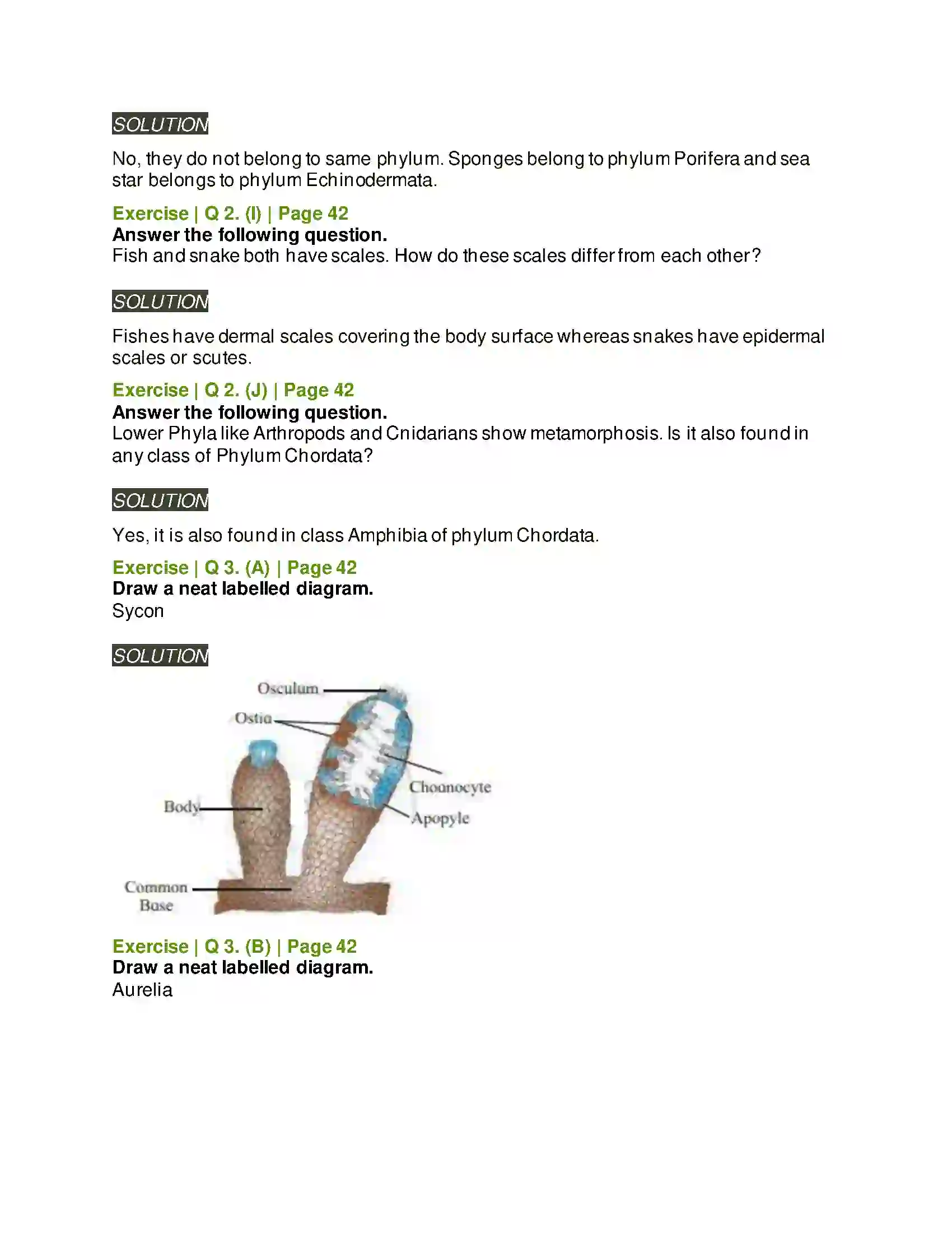 Maharashtra Board Class 11th Biology Kingdom Animalia Solution 4
