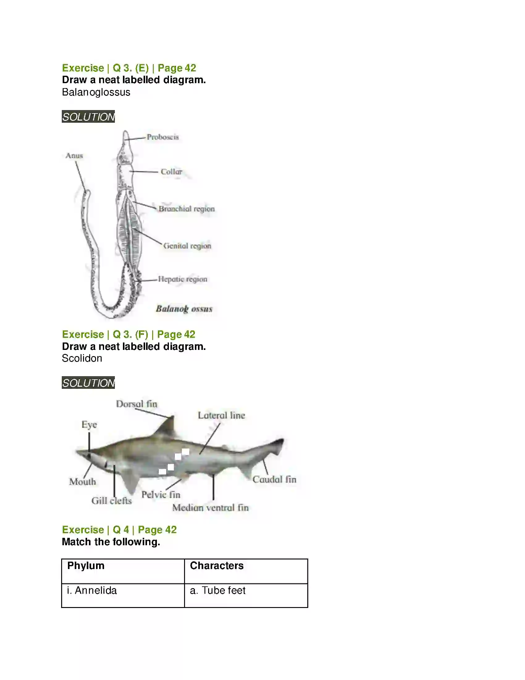 Maharashtra Board Class 11th Biology Kingdom Animalia Solution 6