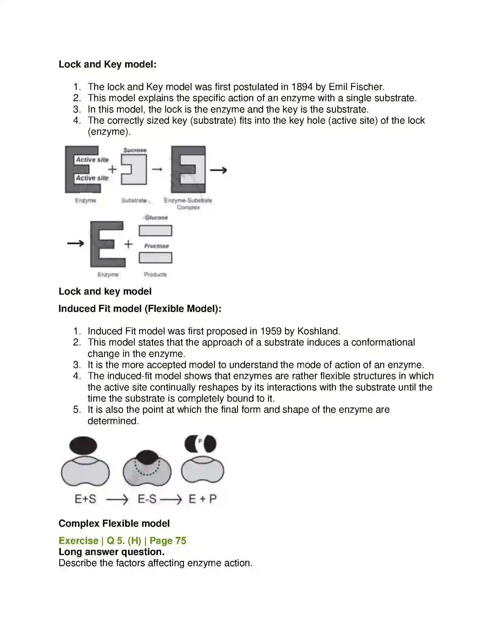 Maharashtra Board Class 11th Biology Biomolecules Solution 15