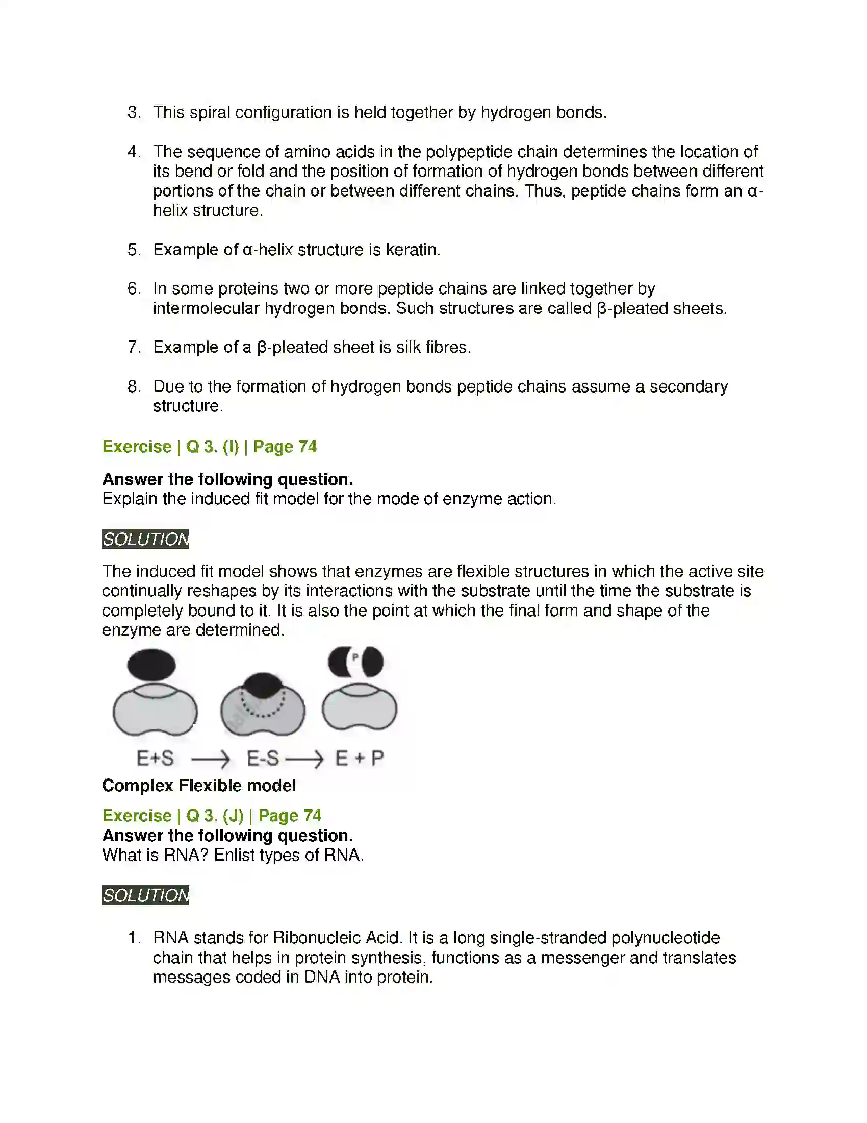 Maharashtra Board Class 11th Biology Biomolecules Solution 6