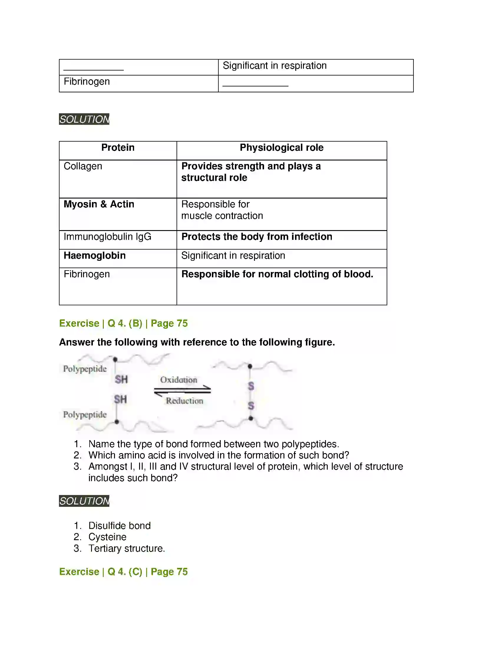 Maharashtra Board Class 11th Biology Biomolecules Solution 8