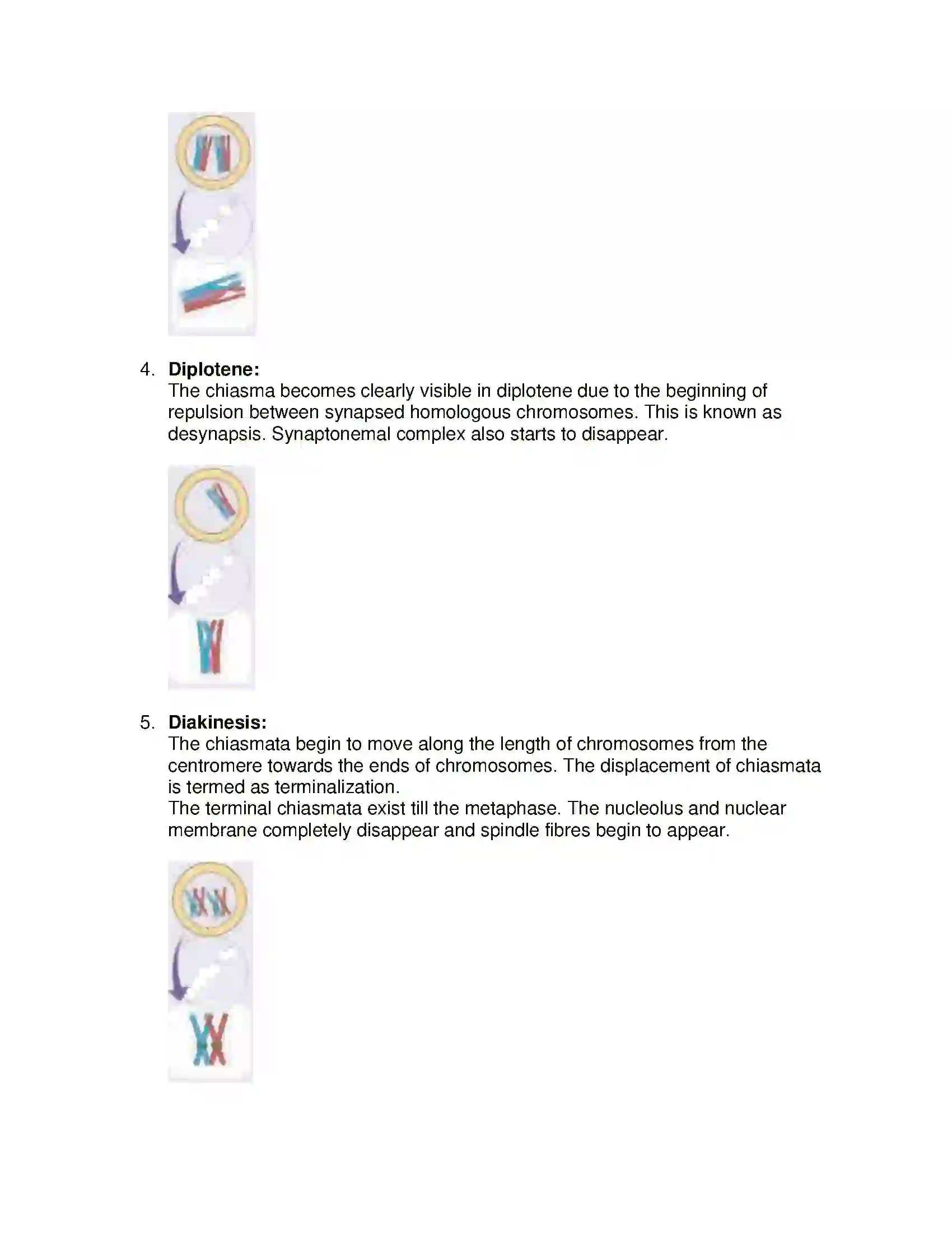 Maharashtra Board Class 11th Biology Cell Division Solution 7