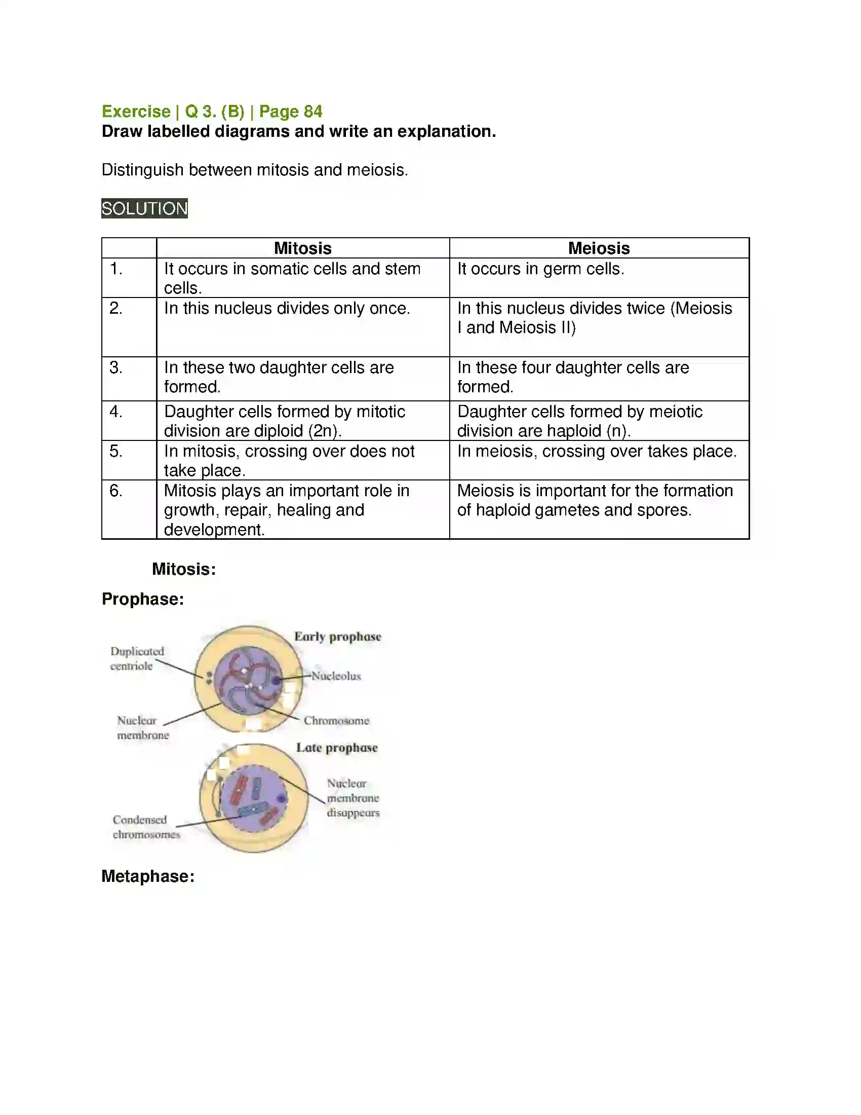 Maharashtra Board Class 11th Biology Cell Division Solution 9