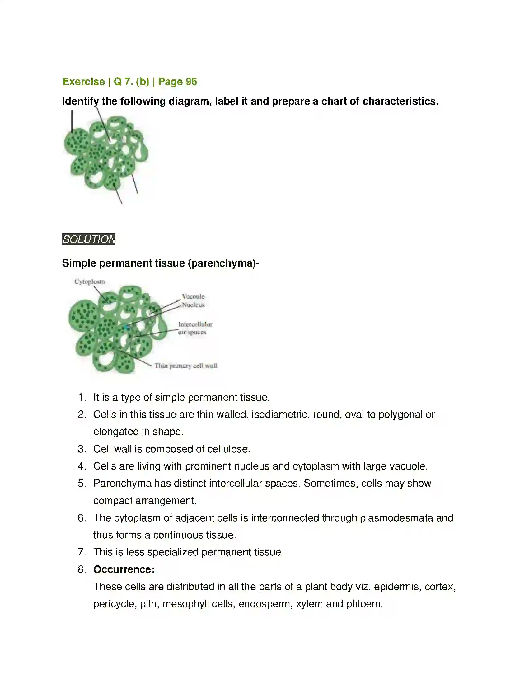 Maharashtra Board Class 11th Biology Plant Tissues and Anatomy Solution 13