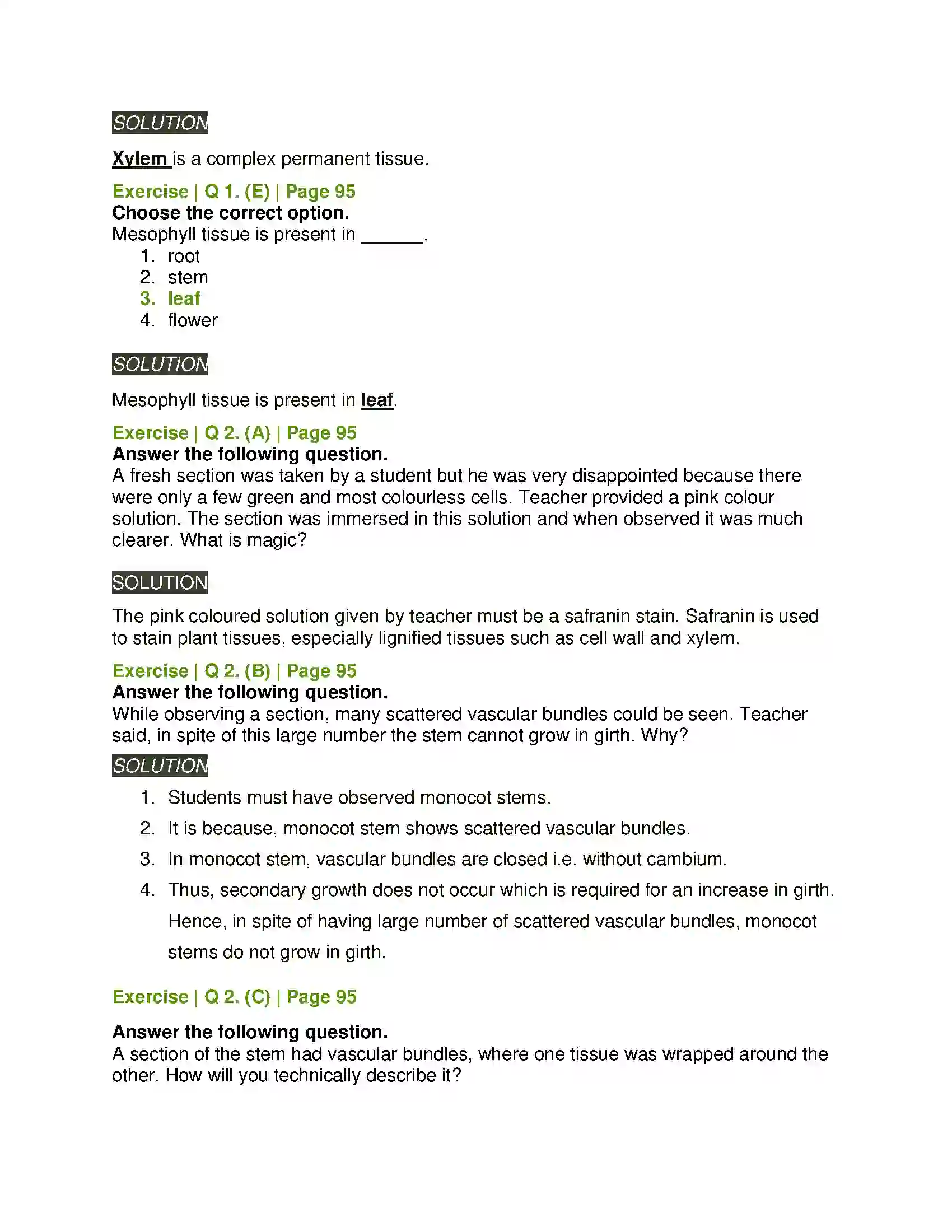 Maharashtra Board Class 11th Biology Plant Tissues and Anatomy Solution 2