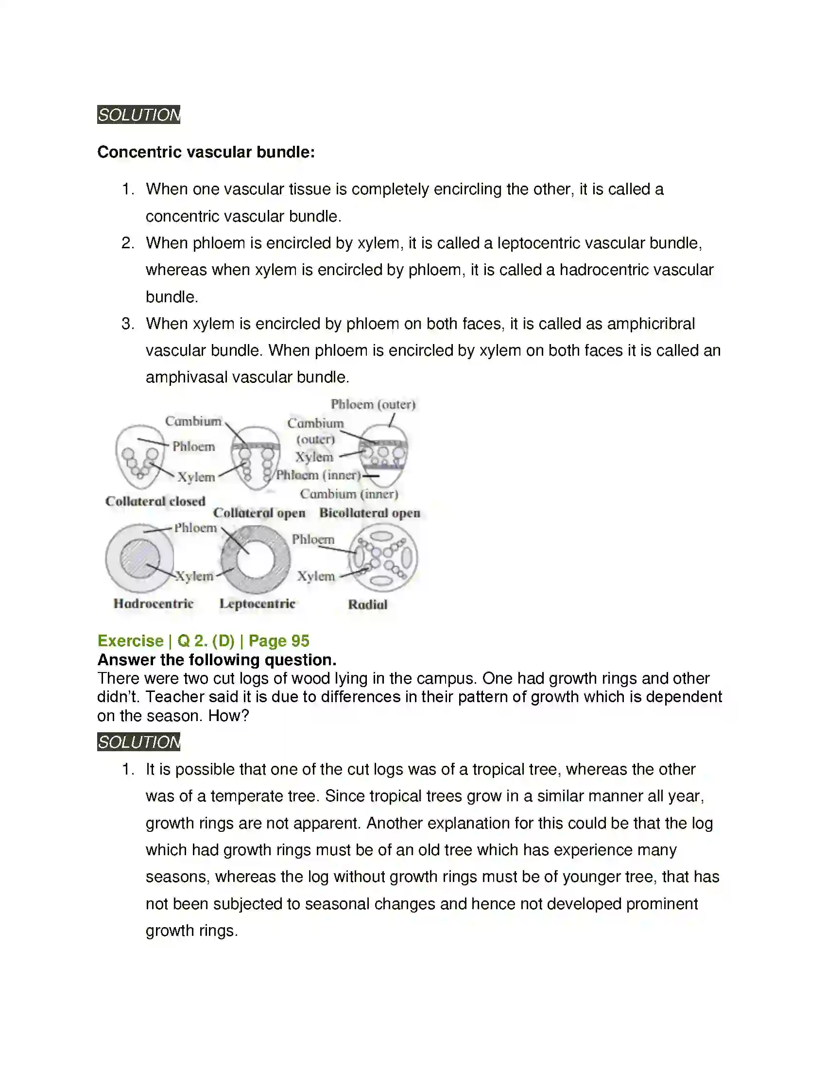 Maharashtra Board Class 11th Biology Plant Tissues and Anatomy Solution 3