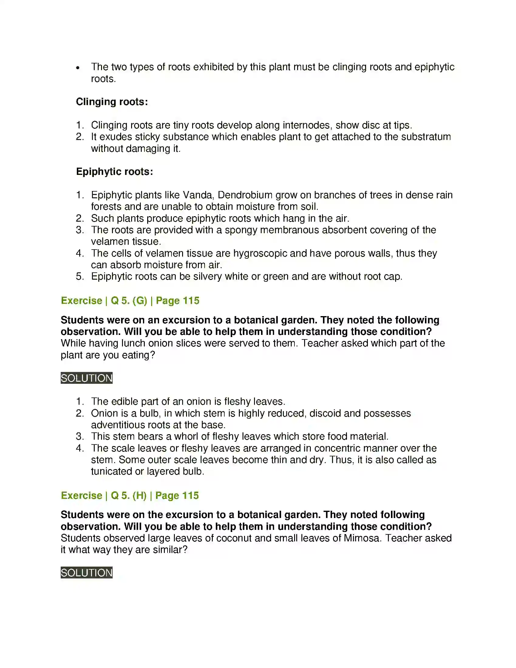 Maharashtra Board Class 11th Biology Morphology of Flowering Plants Solution 10