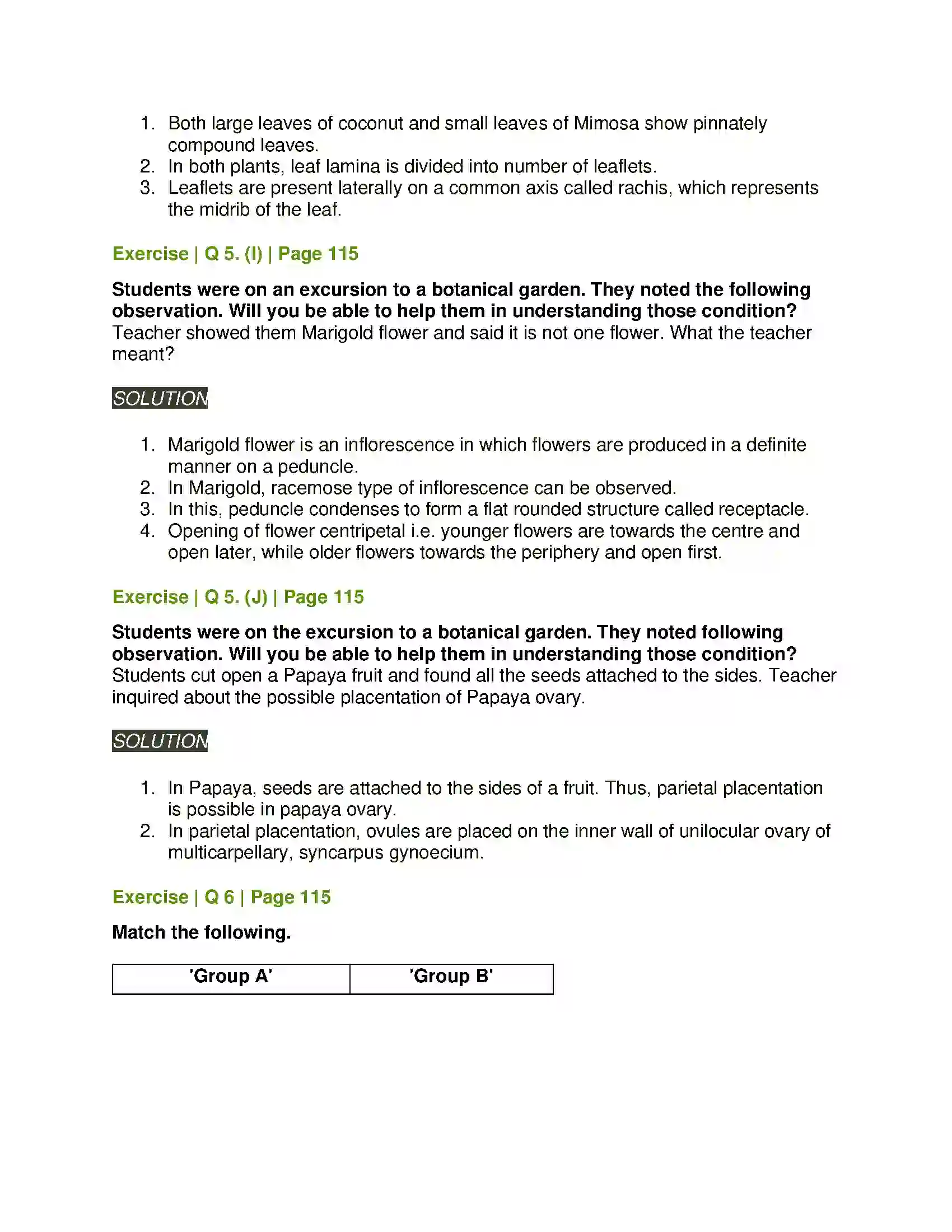 Maharashtra Board Class 11th Biology Morphology of Flowering Plants Solution 11