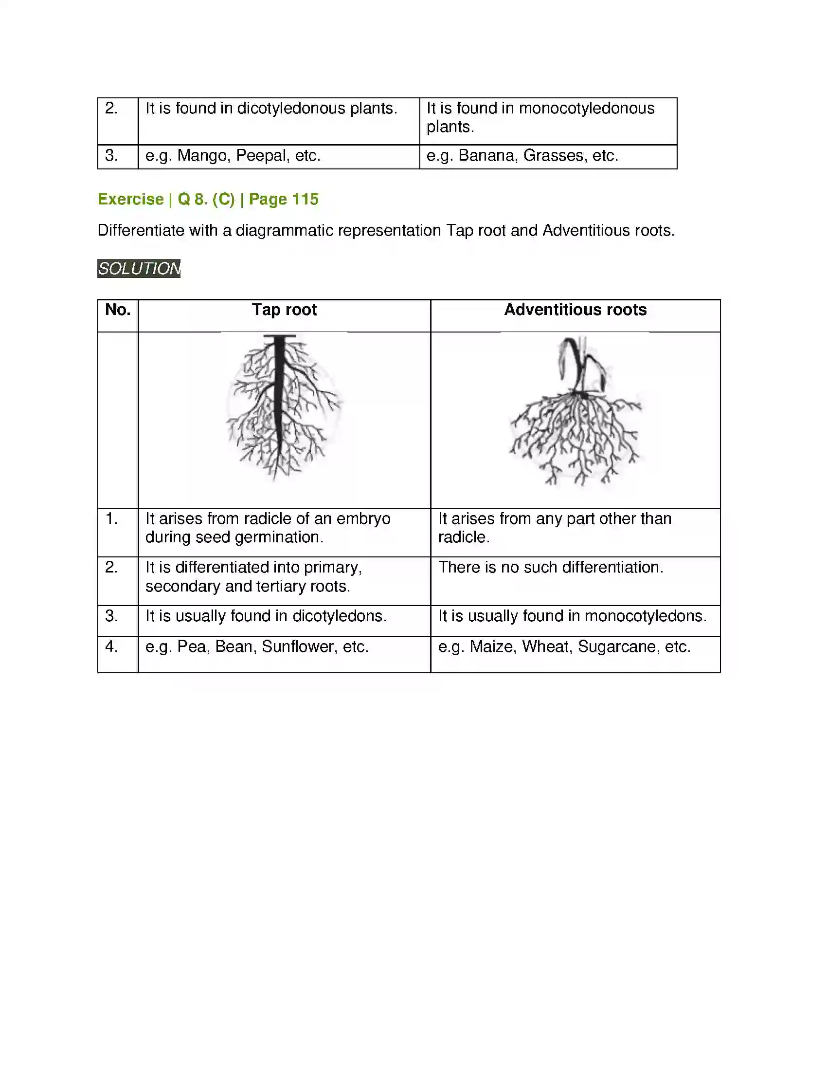 Maharashtra Board Class 11th Biology Morphology of Flowering Plants Solution 16