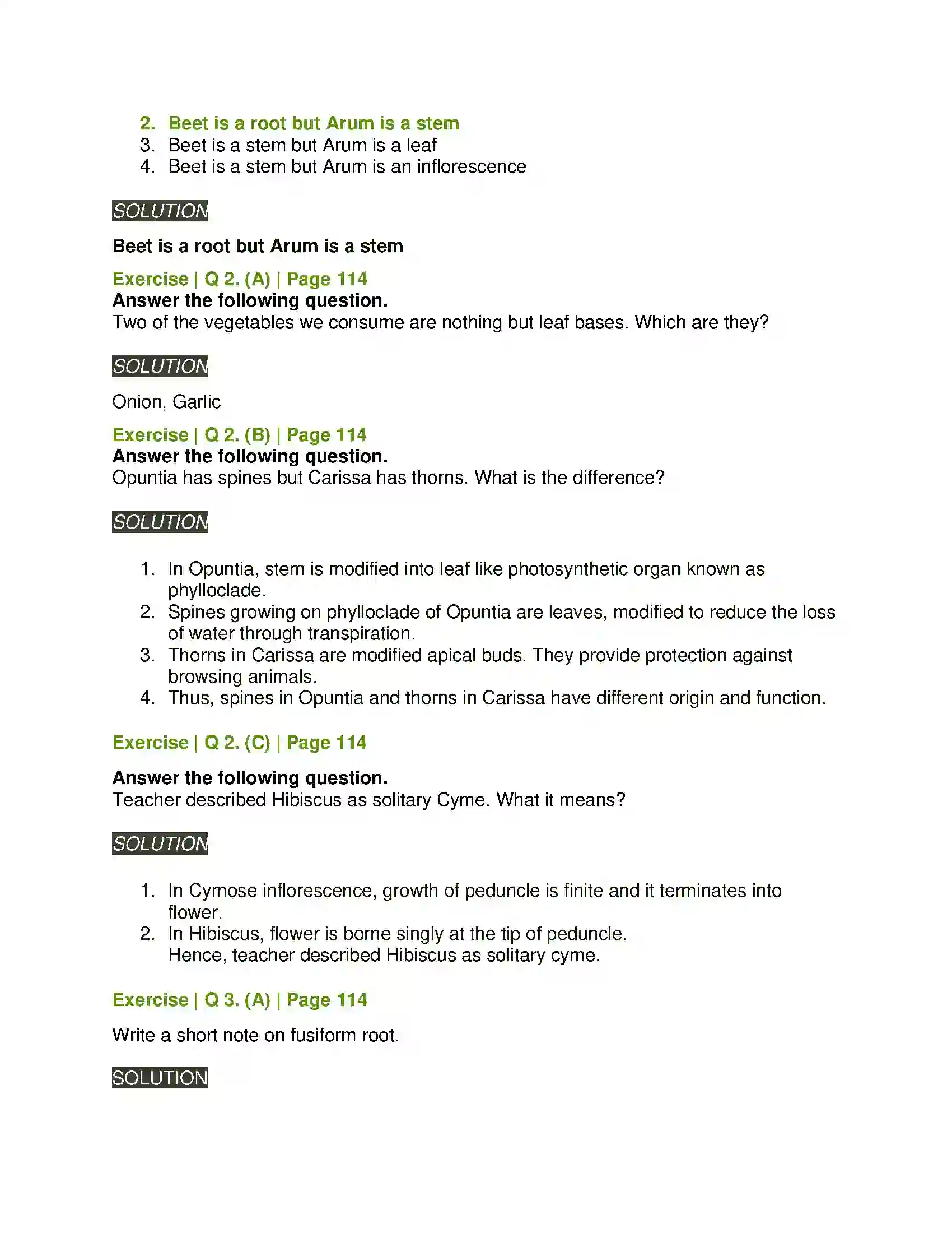 Maharashtra Board Class 11th Biology Morphology of Flowering Plants Solution 2