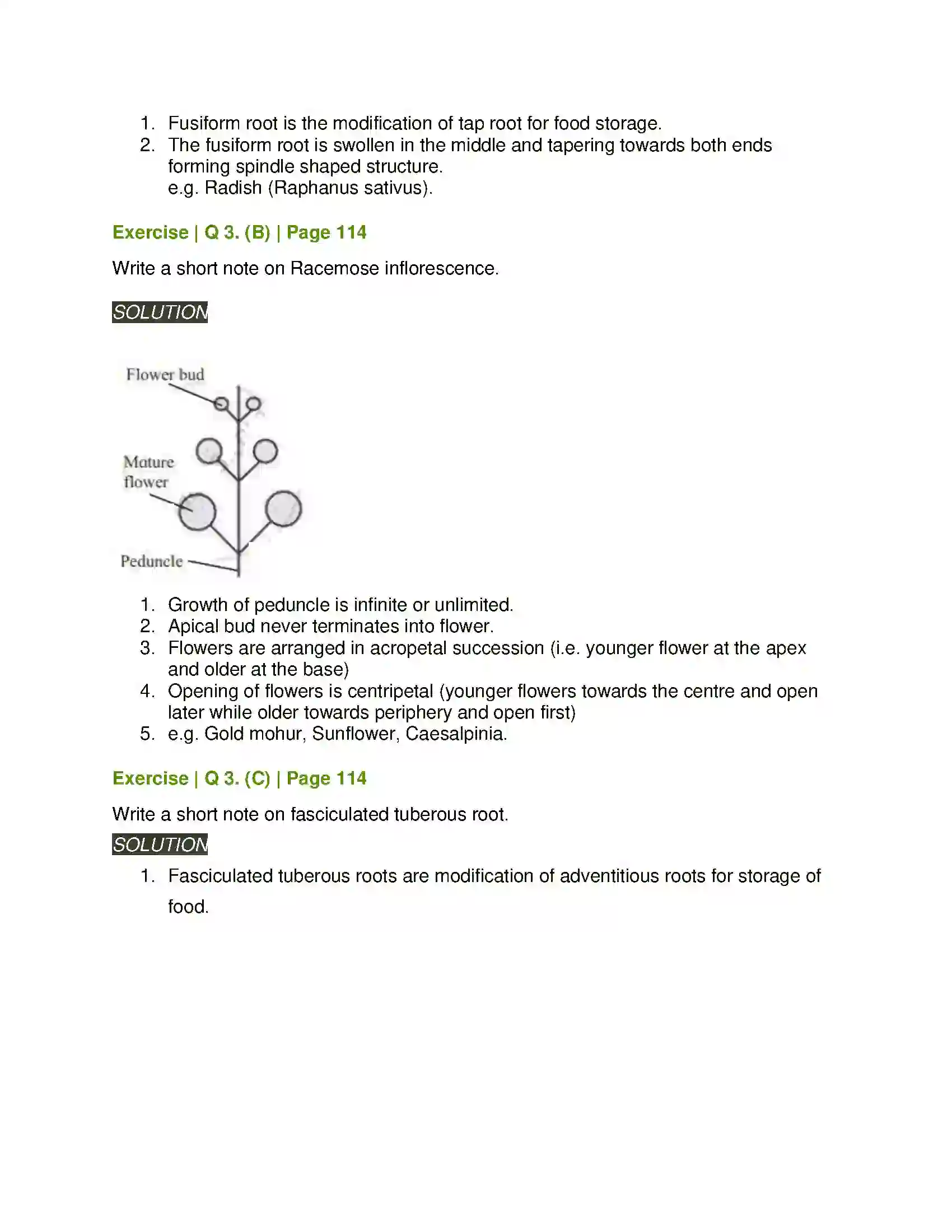Maharashtra Board Class 11th Biology Morphology of Flowering Plants Solution 3