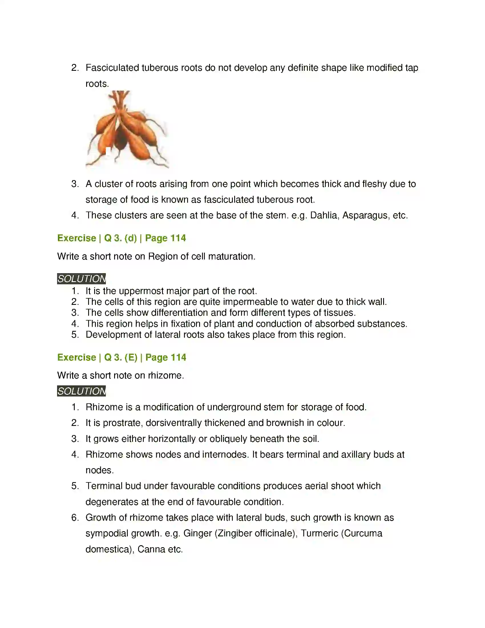Maharashtra Board Class 11th Biology Morphology of Flowering Plants Solution 4
