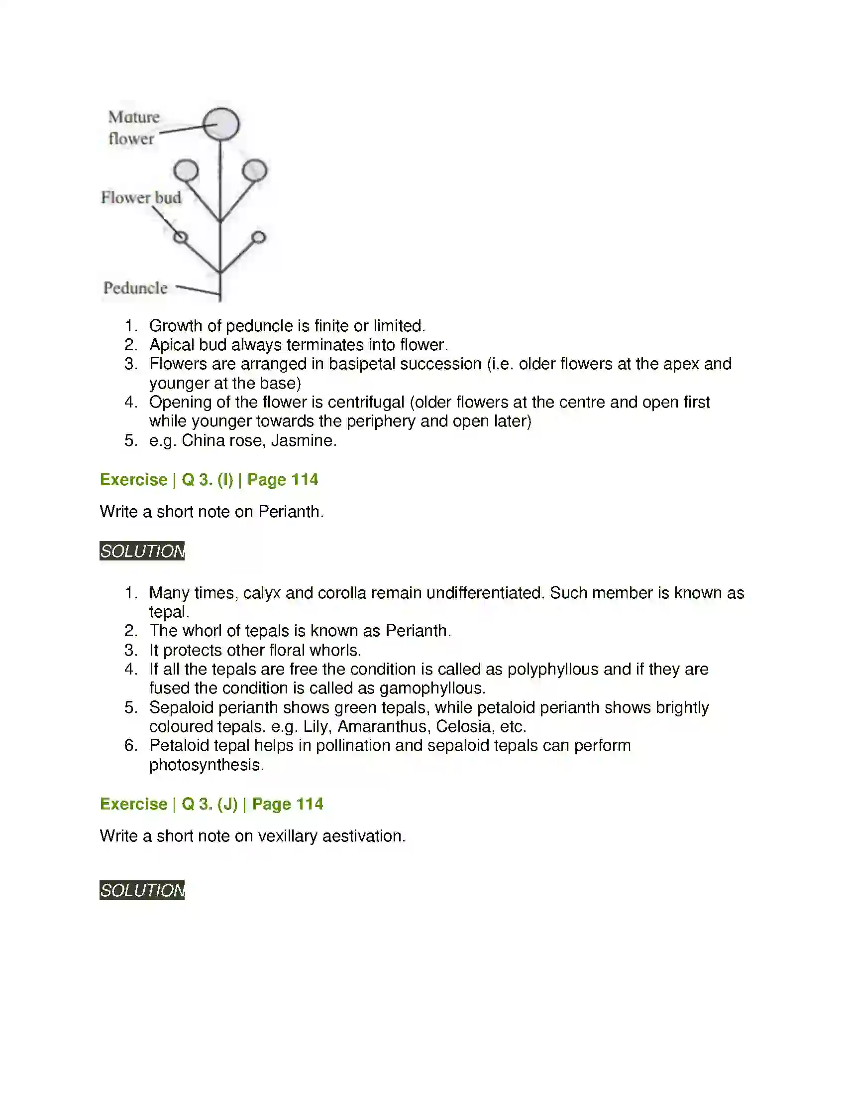 Maharashtra Board Class 11th Biology Morphology of Flowering Plants Solution 6