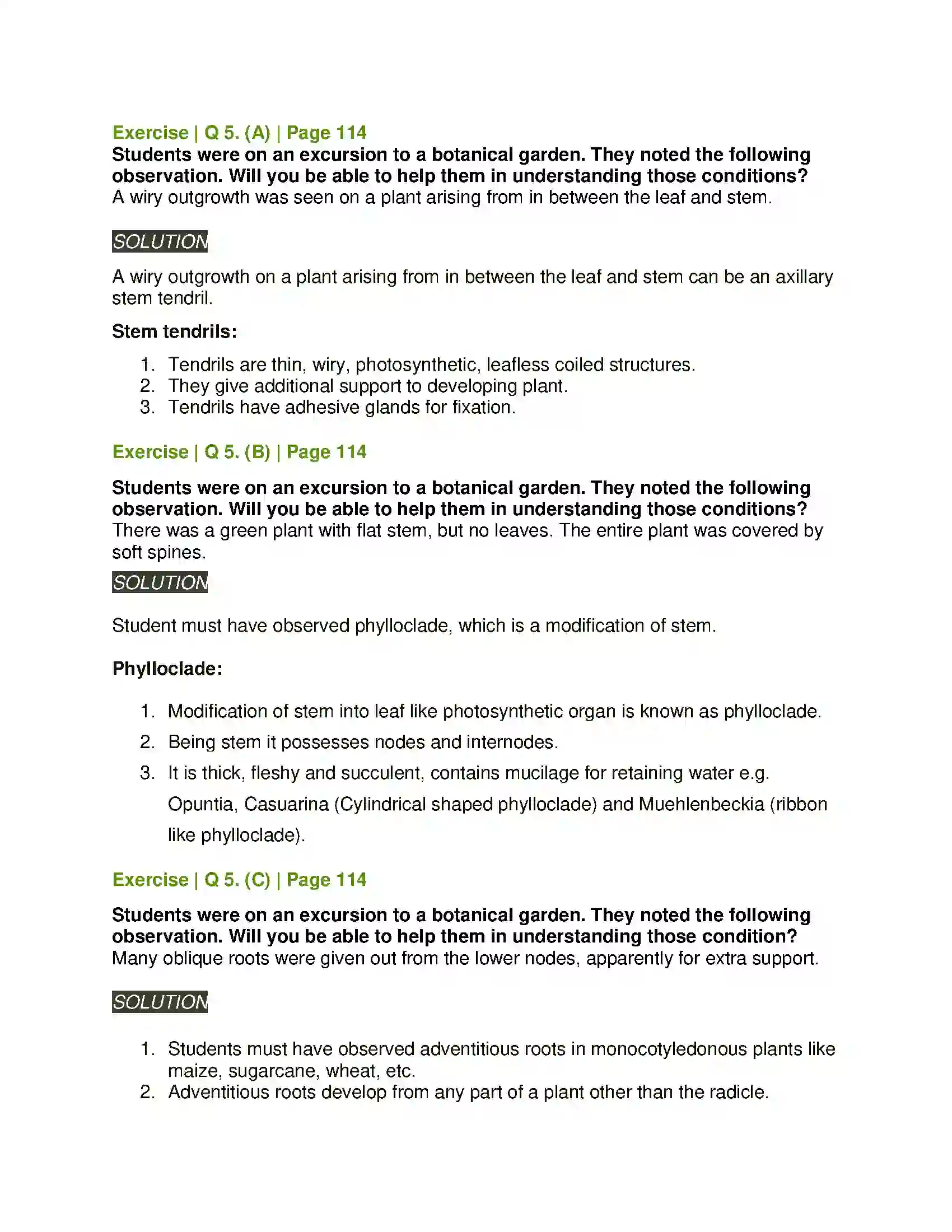 Maharashtra Board Class 11th Biology Morphology of Flowering Plants Solution 8