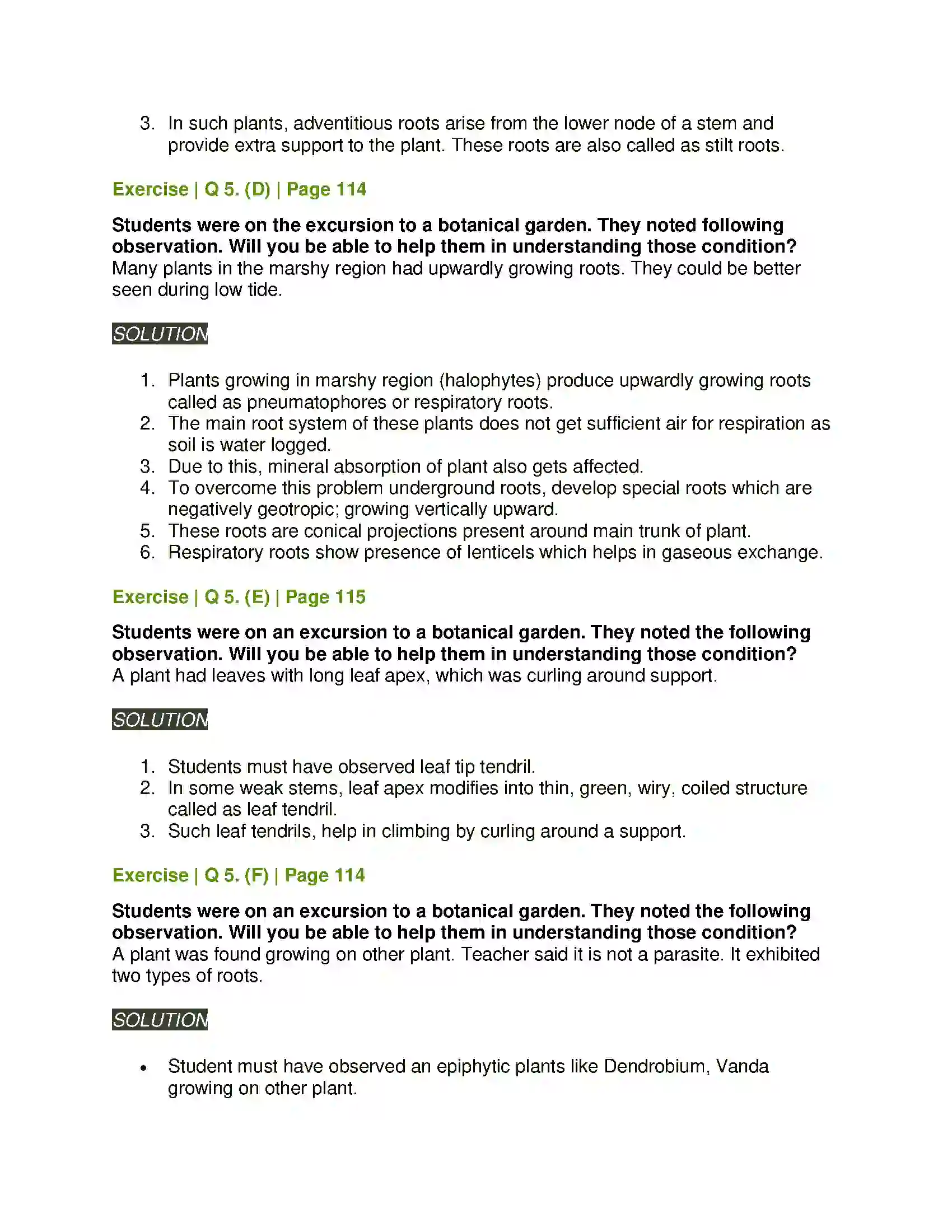 Maharashtra Board Class 11th Biology Morphology of Flowering Plants Solution 9
