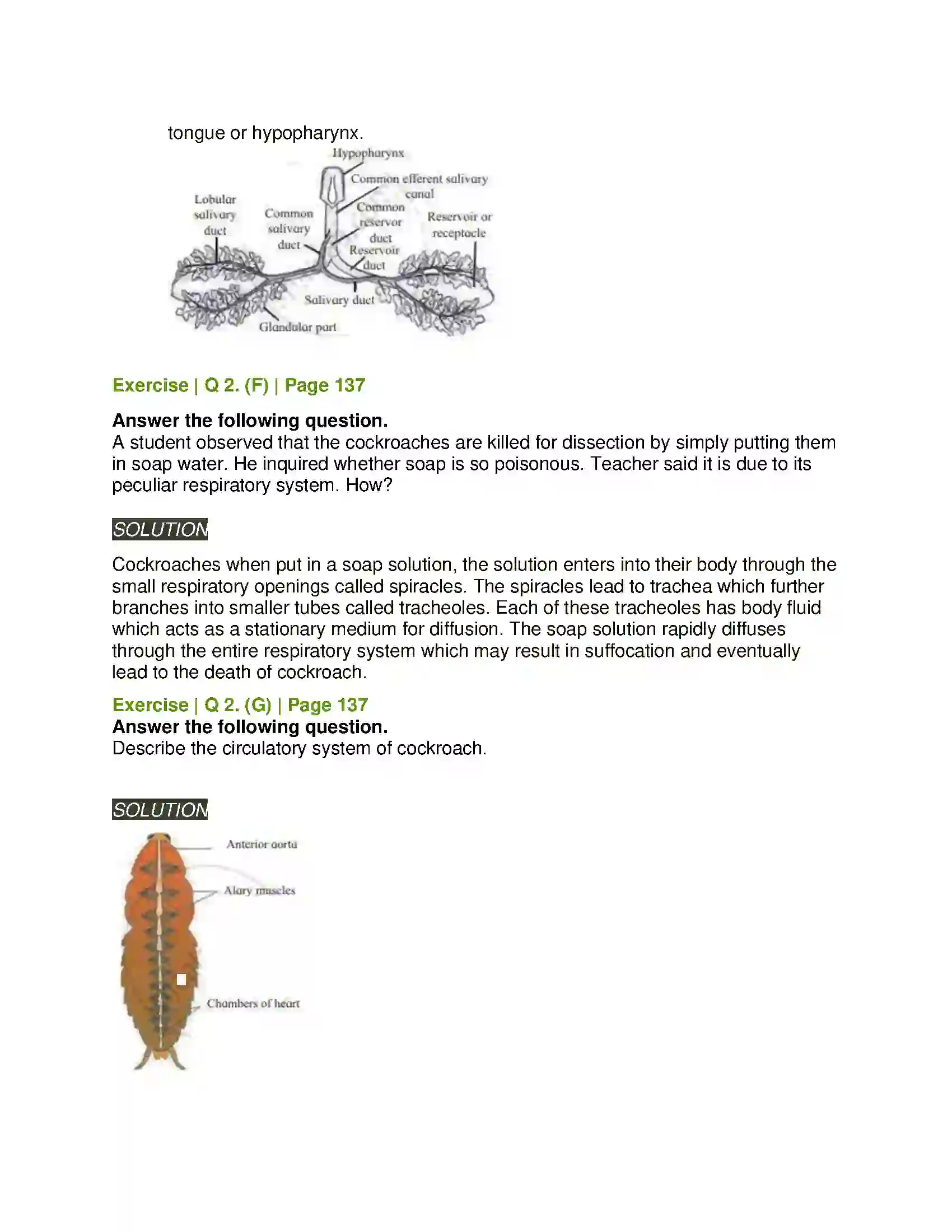 Maharashtra Board Class 11th Biology Study of Animal Type Cockroach Solution 11