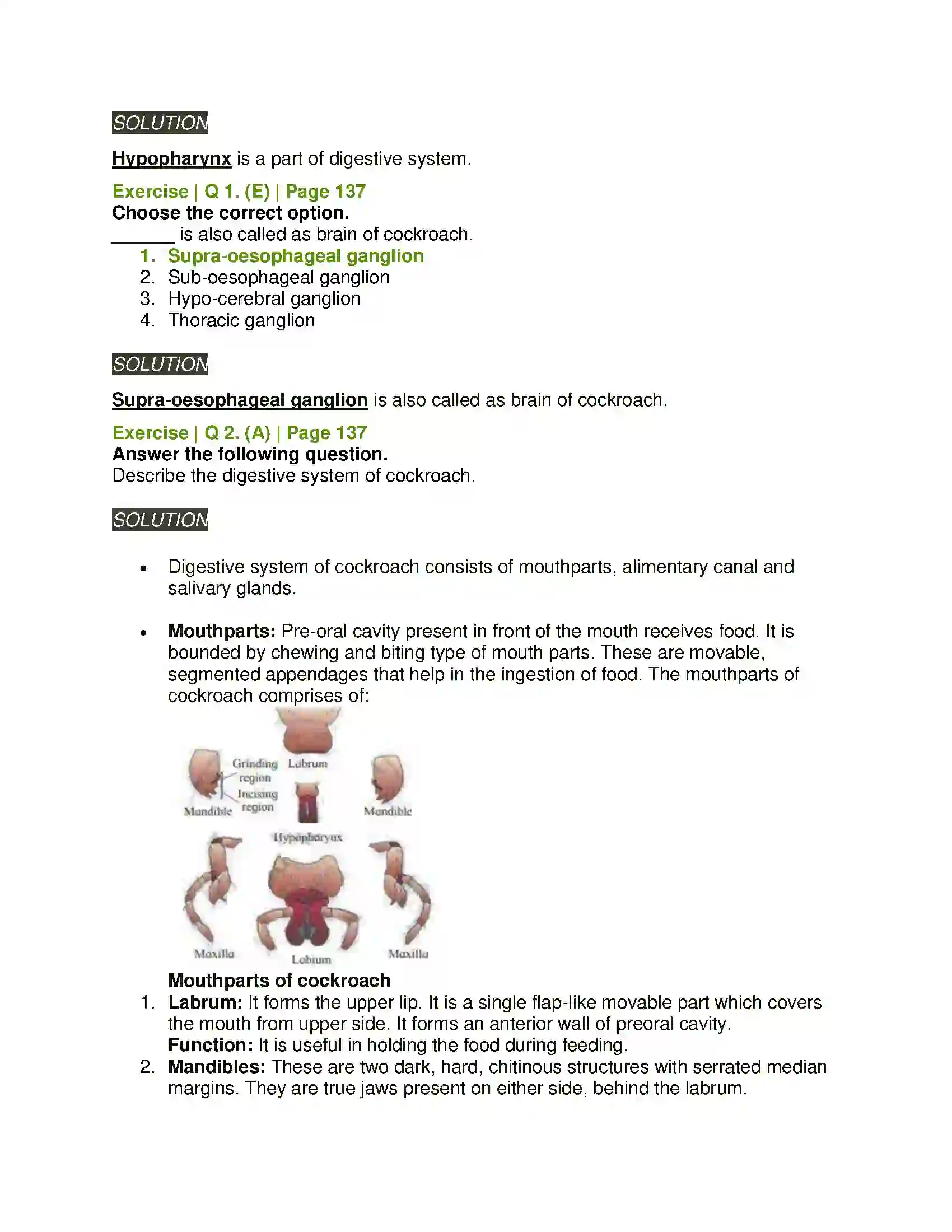 Maharashtra Board Class 11th Biology Study of Animal Type Cockroach Solution 2