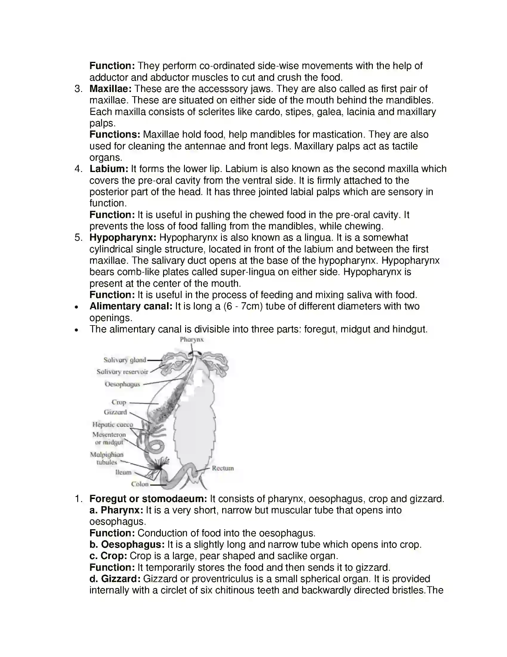 Maharashtra Board Class 11th Biology Study of Animal Type Cockroach Solution 3