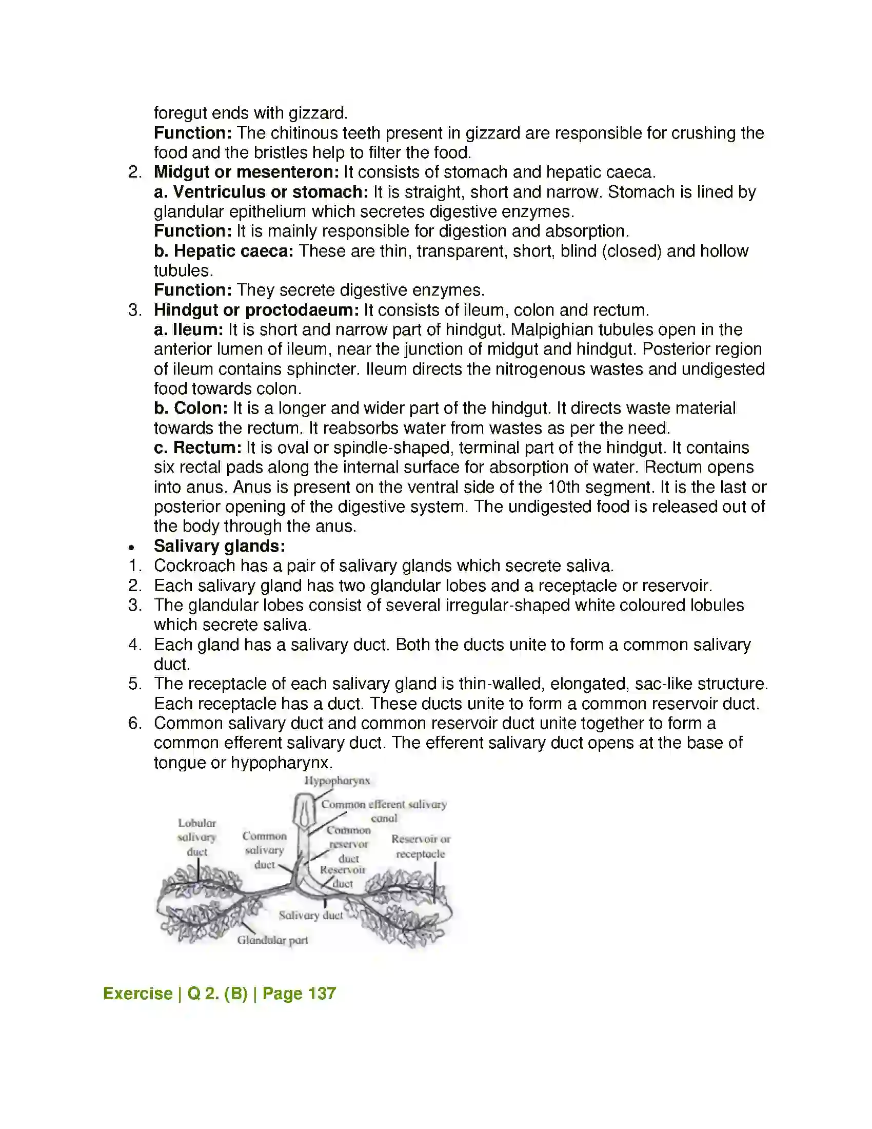 Maharashtra Board Class 11th Biology Study of Animal Type Cockroach Solution 4