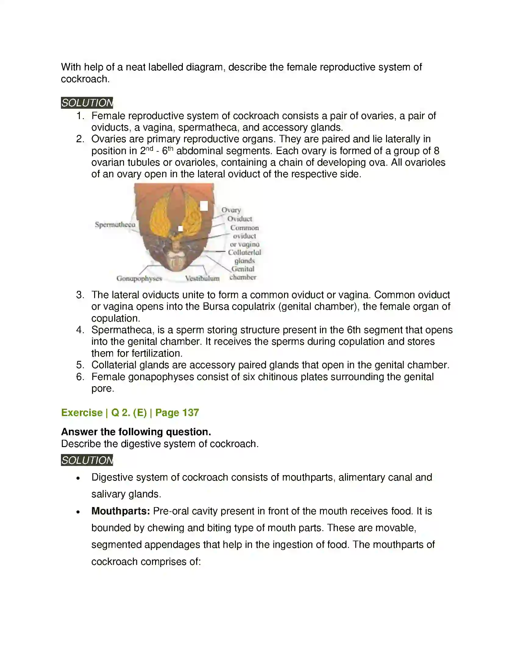 Maharashtra Board Class 11th Biology Study of Animal Type Cockroach Solution 7