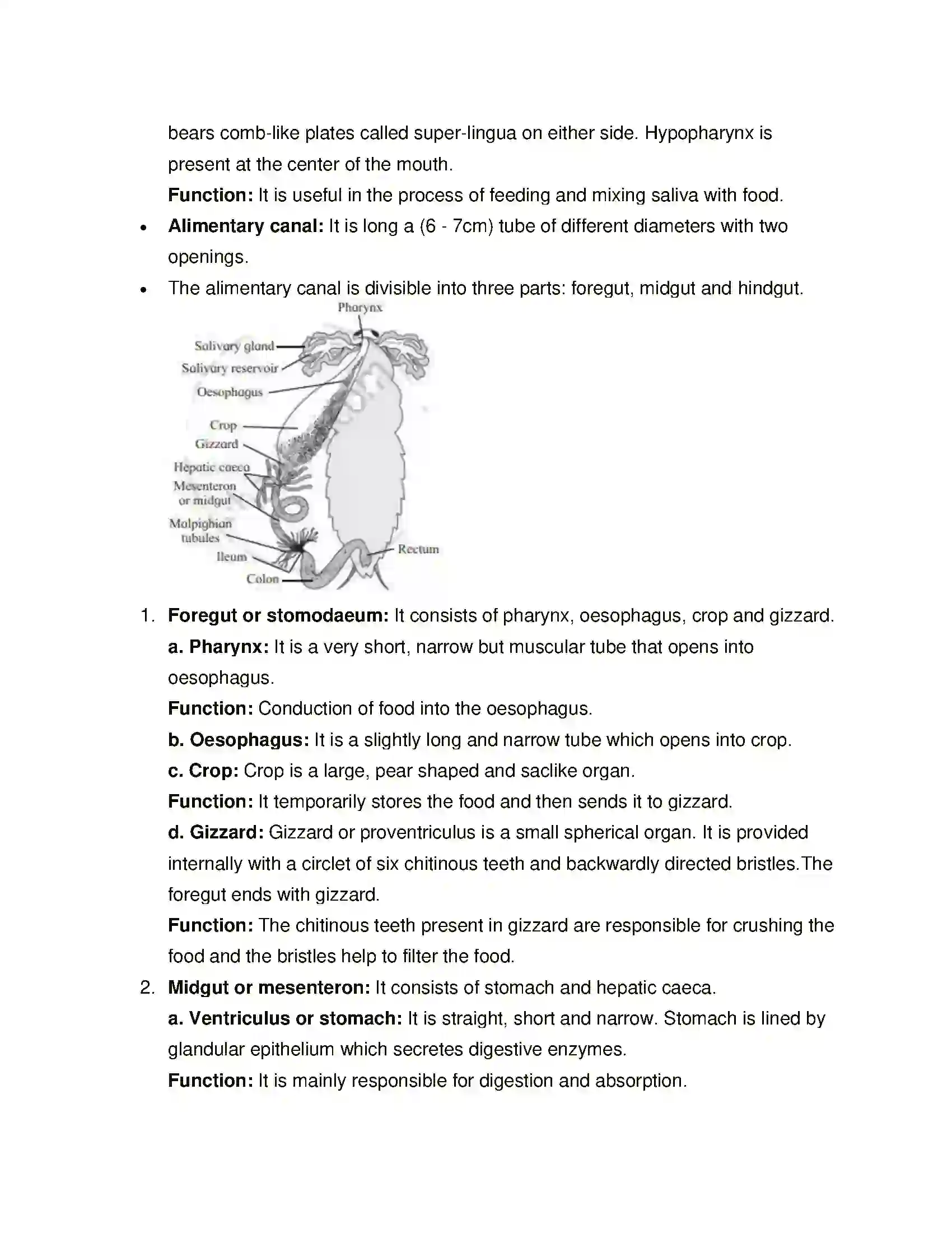 Maharashtra Board Class 11th Biology Study of Animal Type Cockroach Solution 9