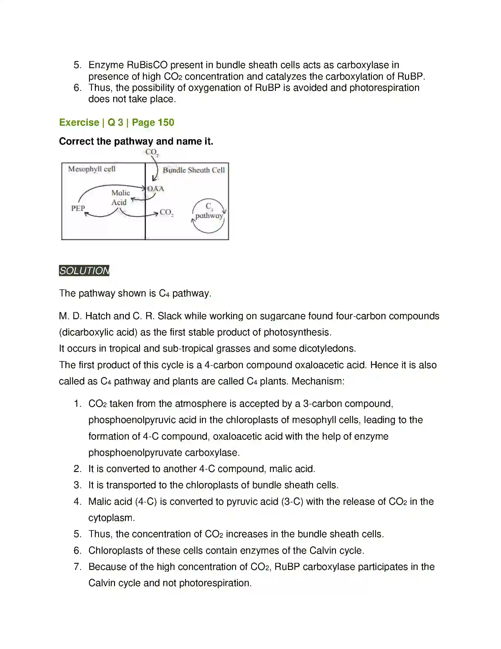 Maharashtra Board Class 11th Biology Photosynthesis Solution 14