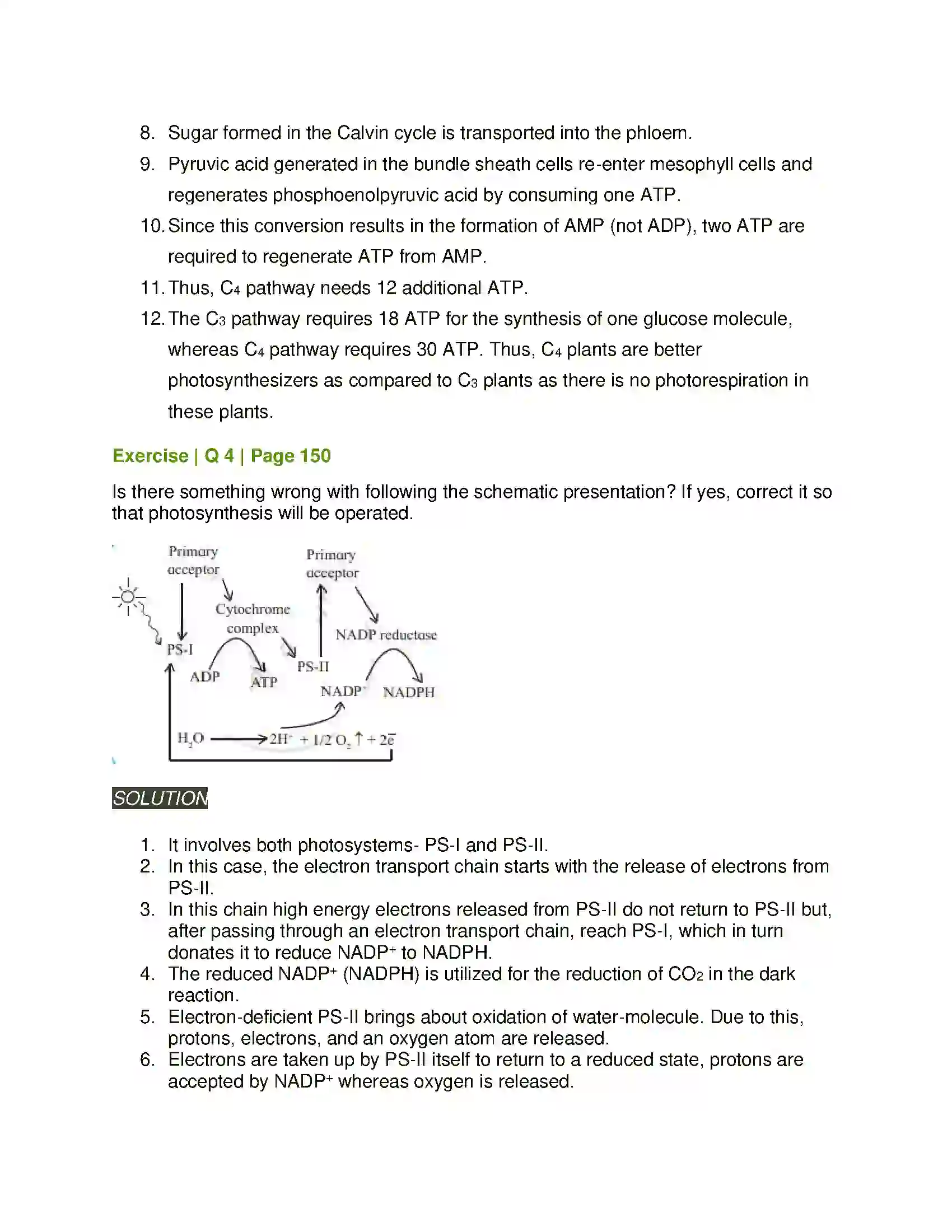 Maharashtra Board Class 11th Biology Photosynthesis Solution 15