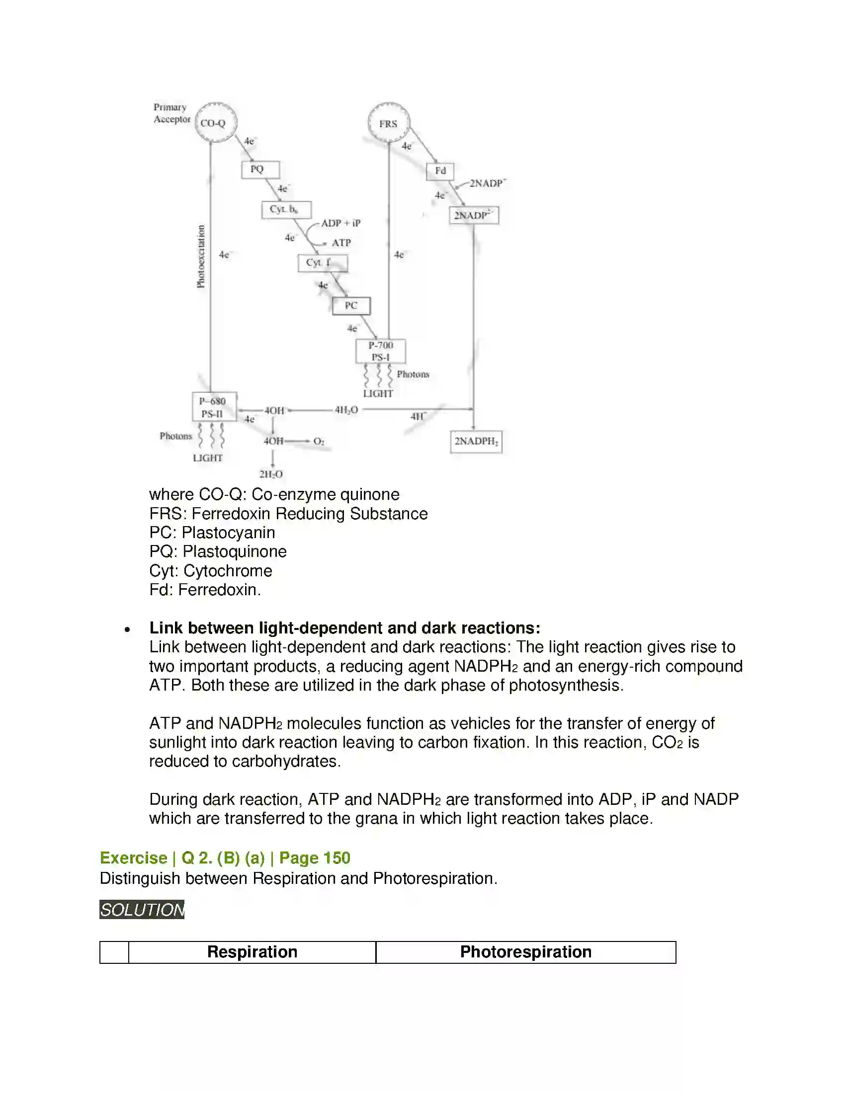 Maharashtra Board Class 11th Biology Photosynthesis Solution 6
