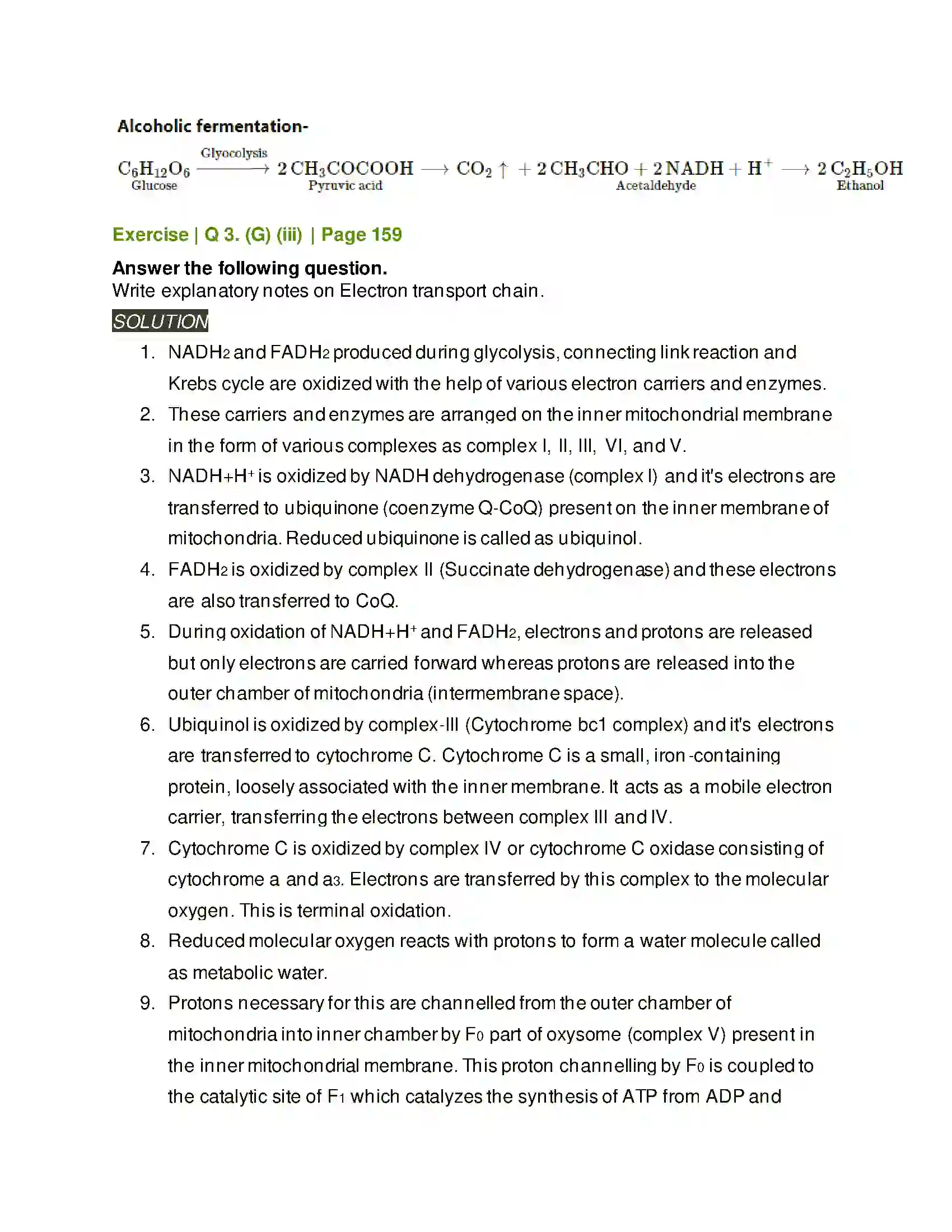 Maharashtra Board Class 11th Biology Respiration and Energy Transfer Solution 6