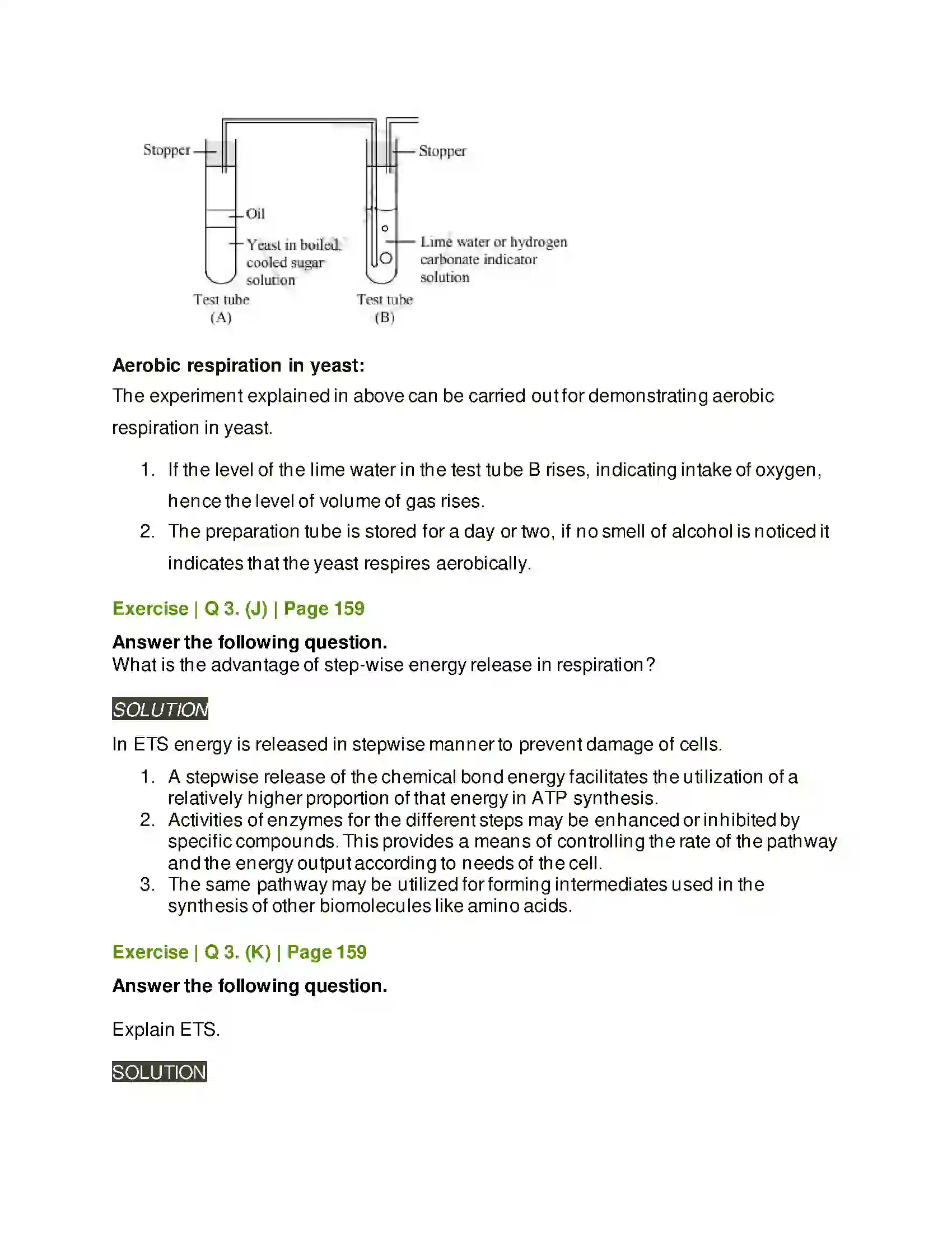Maharashtra Board Class 11th Biology Respiration and Energy Transfer Solution 9