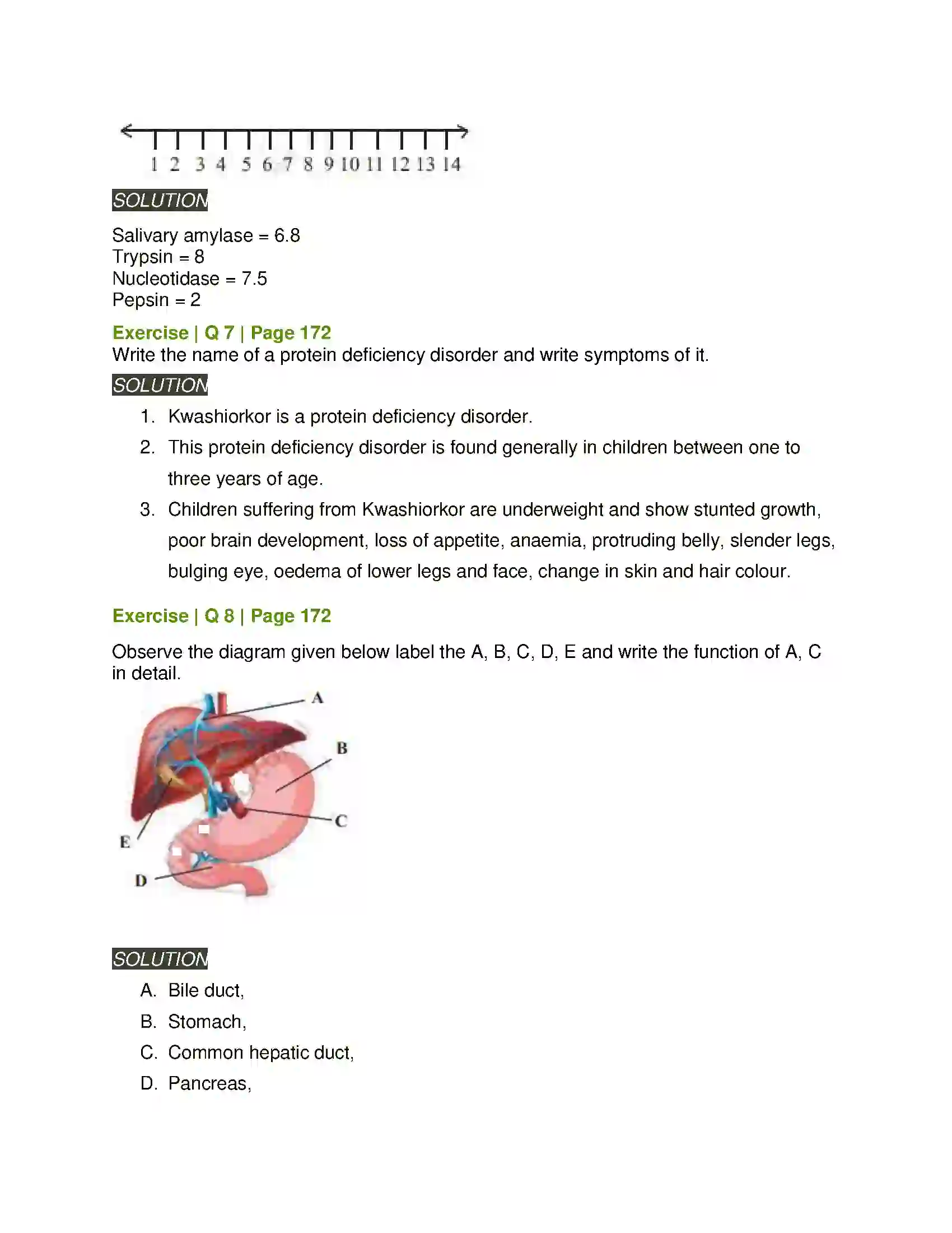 Maharashtra Board Class 11th Biology Human Nutrition Solution 6