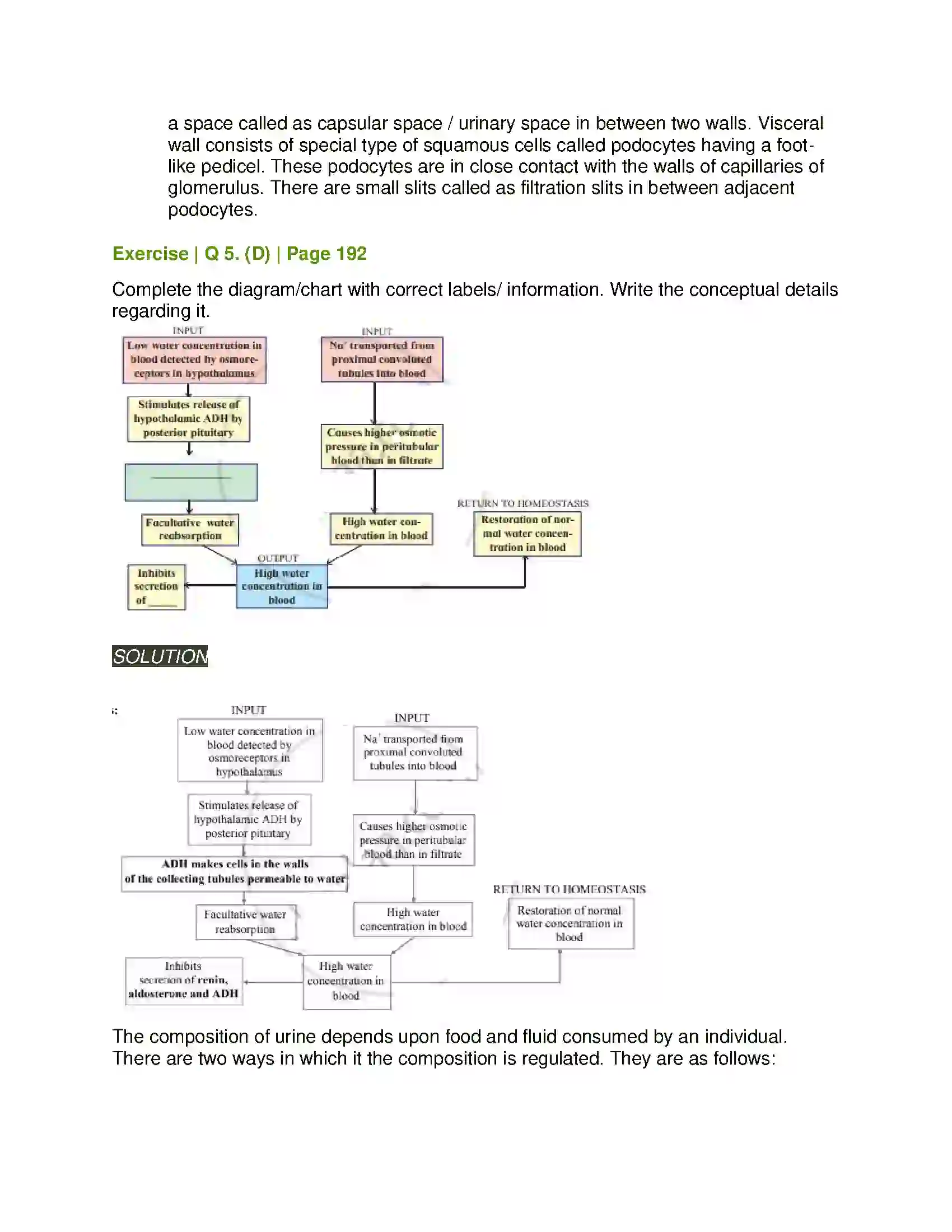 Maharashtra Board Class 11th Biology Excretion and Osmoregulation Solution 13