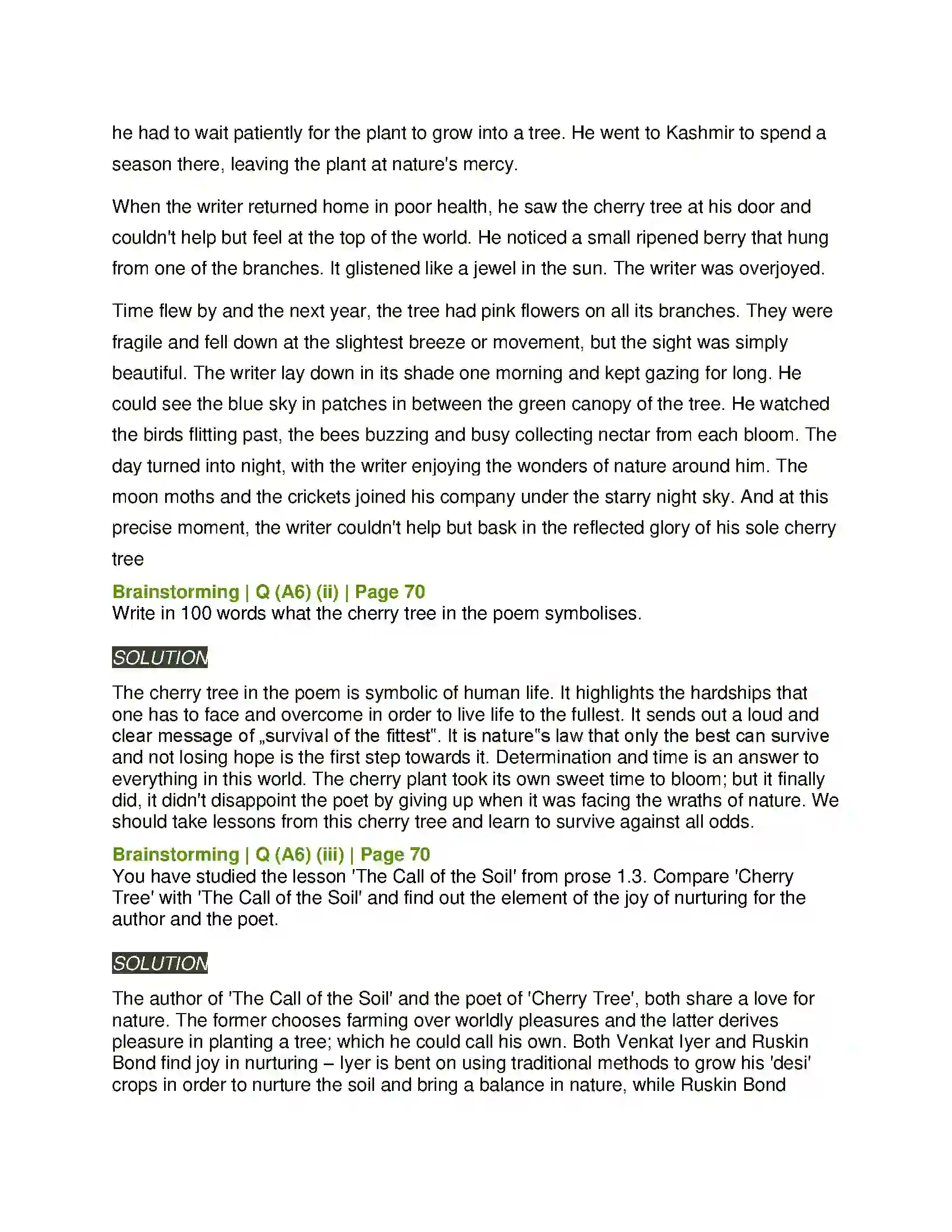 Maharashtra Board Class 11th English 2.1 Cherry Tree Solution 12