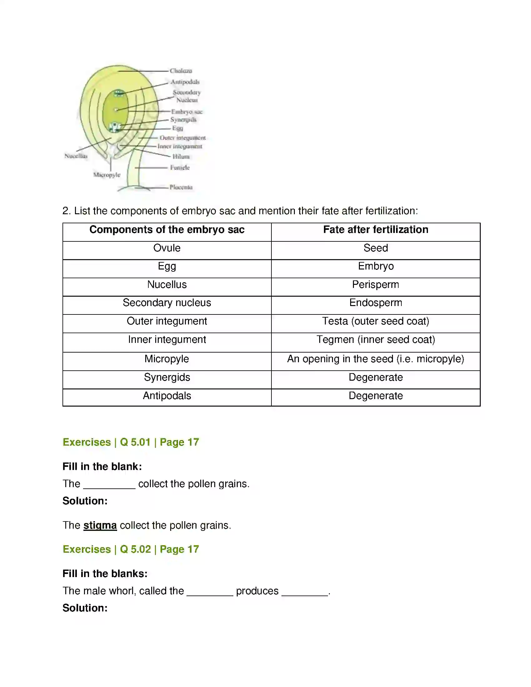 Maharashtra Board Class 12th Biology Reproduction in Lower and Higher Plants Solution 11