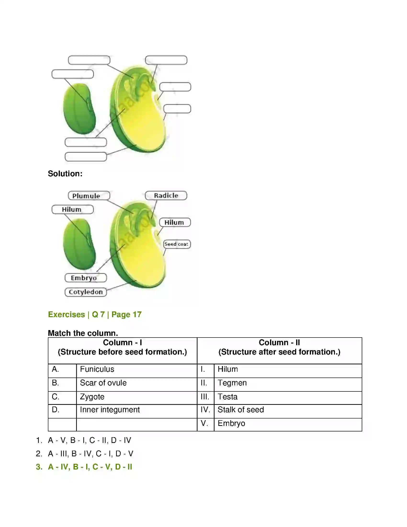 Maharashtra Board Class 12th Biology Reproduction in Lower and Higher Plants Solution 14