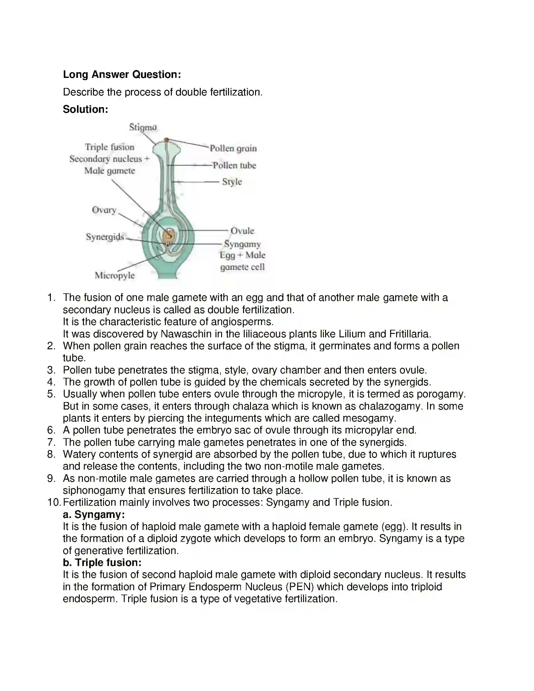 Maharashtra Board Class 12th Biology Reproduction in Lower and Higher Plants Solution 7