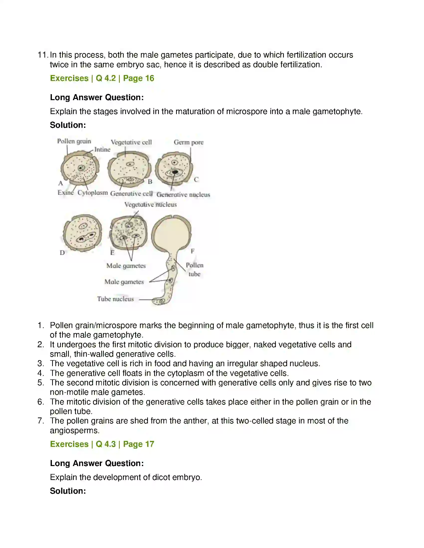 Maharashtra Board Class 12th Biology Reproduction in Lower and Higher Plants Solution 8