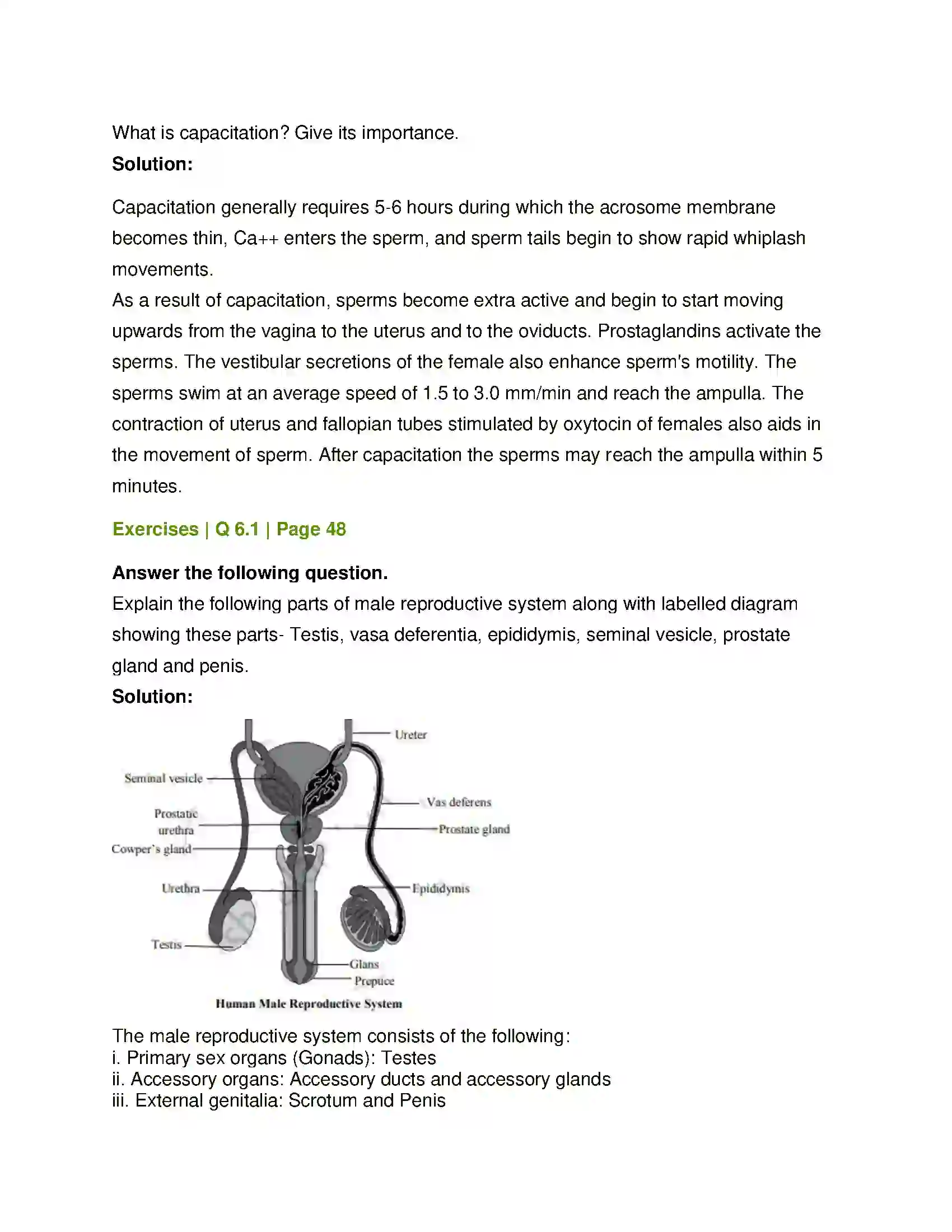 Maharashtra Board Class 12th Biology Reproduction in Lower and Higher Animals Solution 21