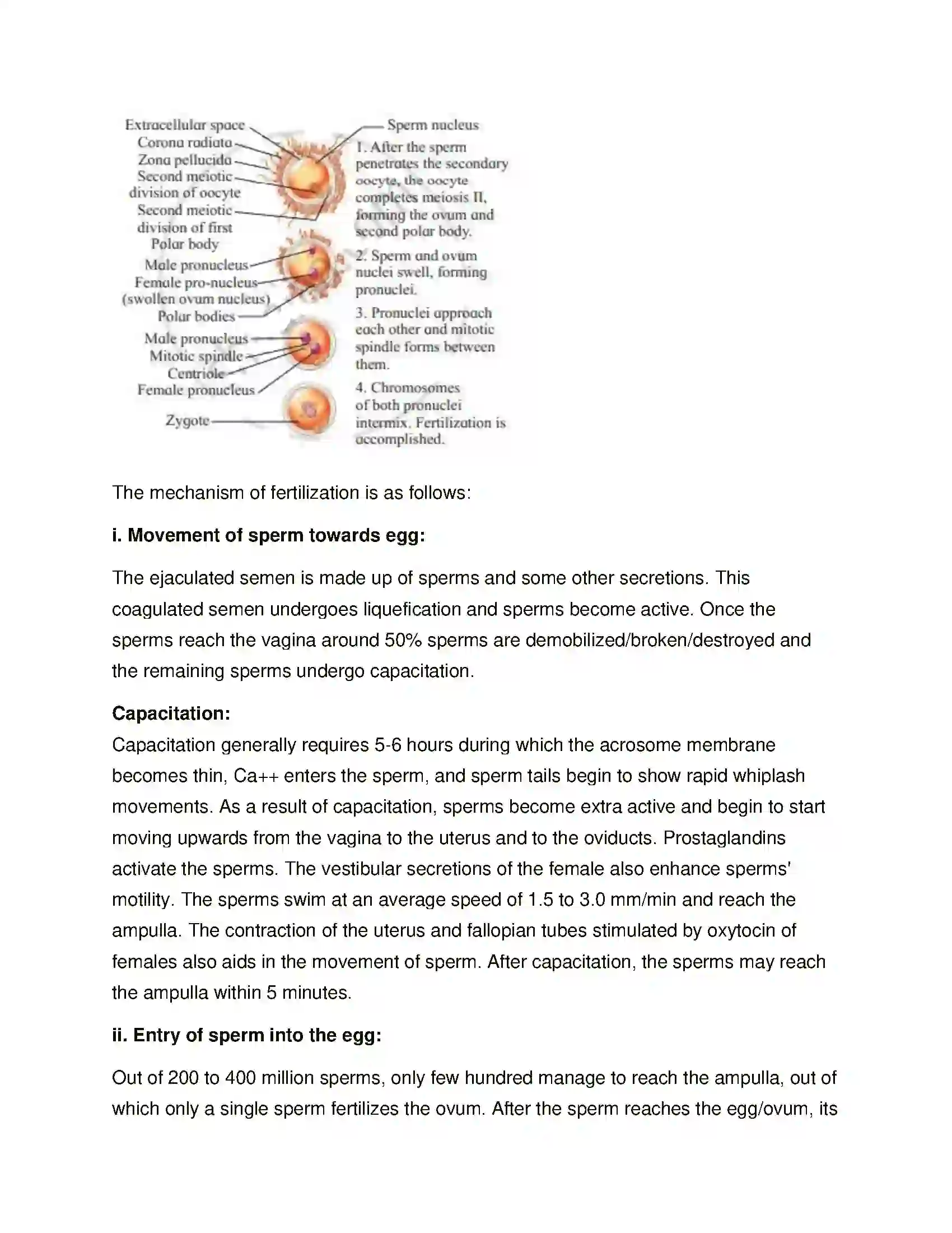 Maharashtra Board Class 12th Biology Reproduction in Lower and Higher Animals Solution 28