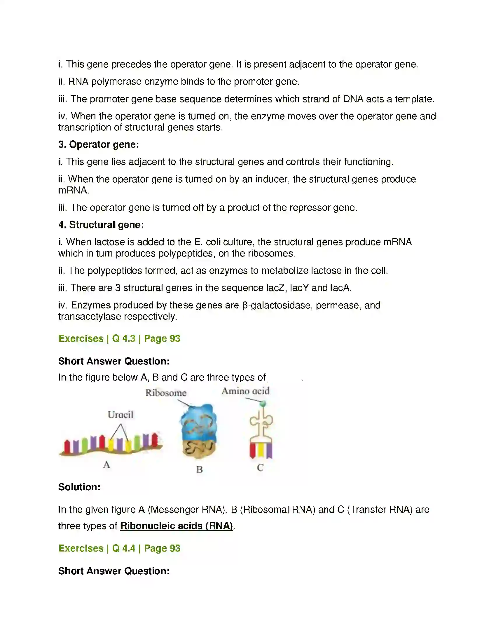 Maharashtra Board Class 12th Biology Molecular Basis of Inheritance Solution 10